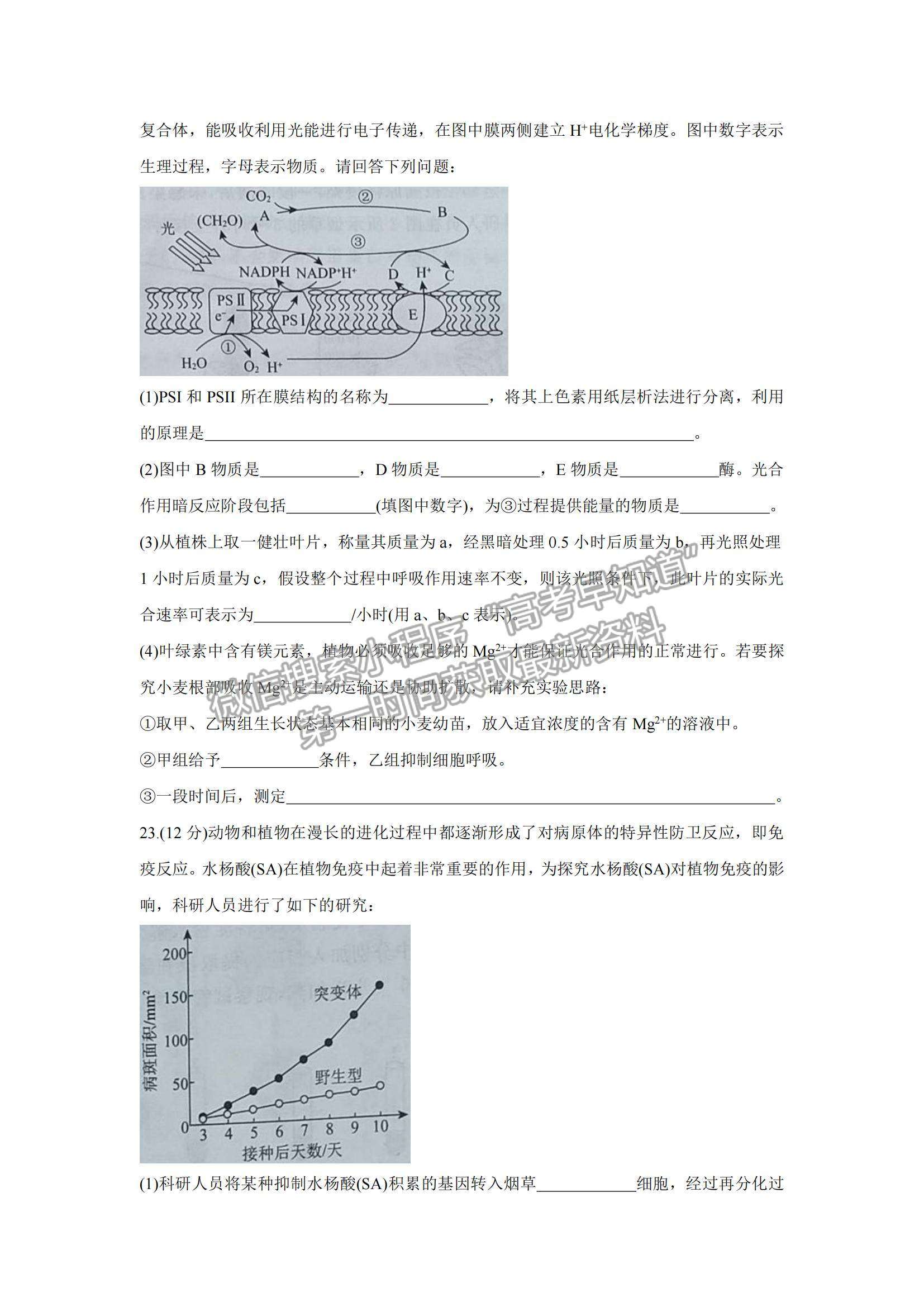 2022遼寧省聯(lián)盟高三10月聯(lián)合考試生物試題及參考答案