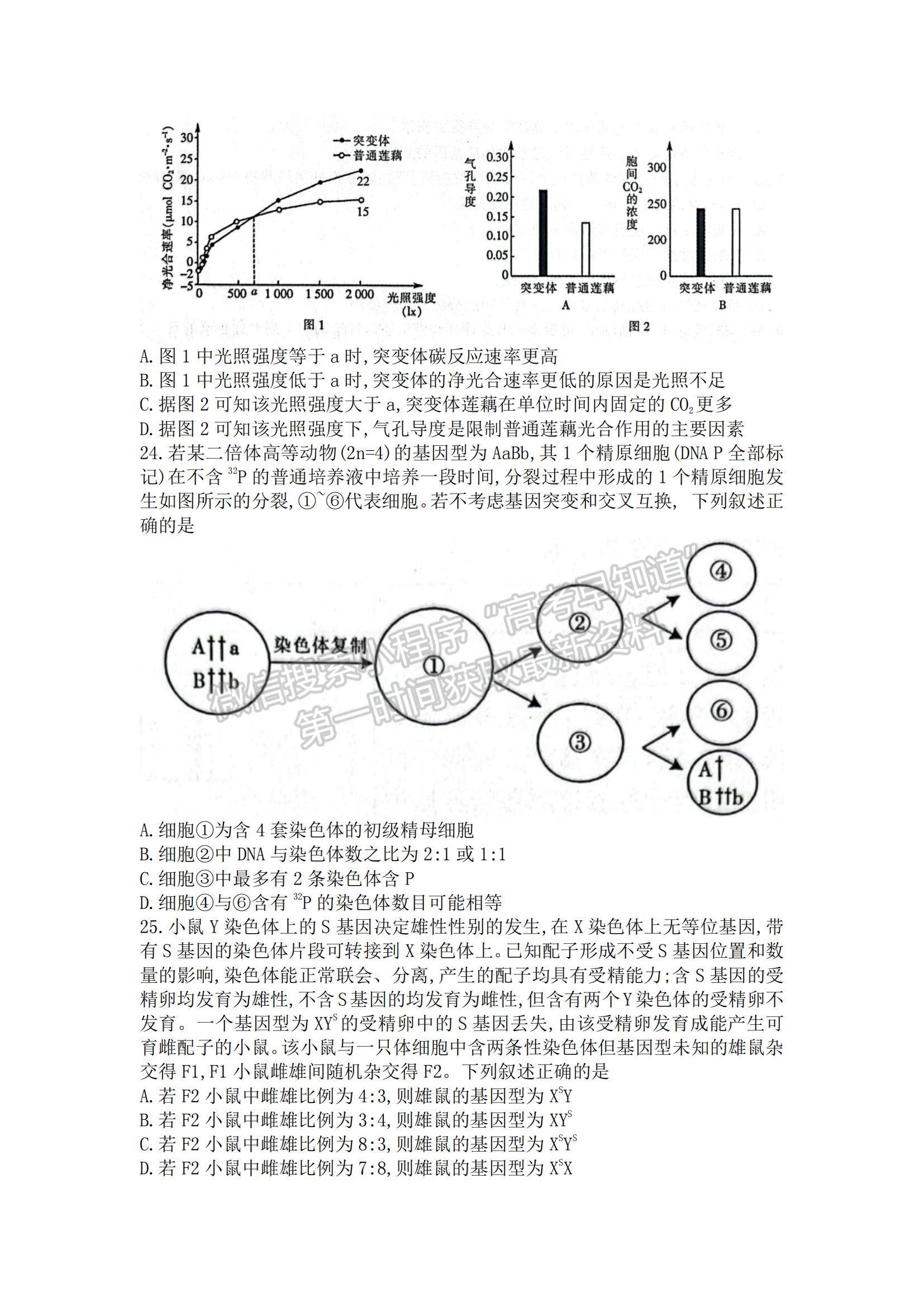 2022浙江金華十校高三11月模擬考試生物試題及參考答案