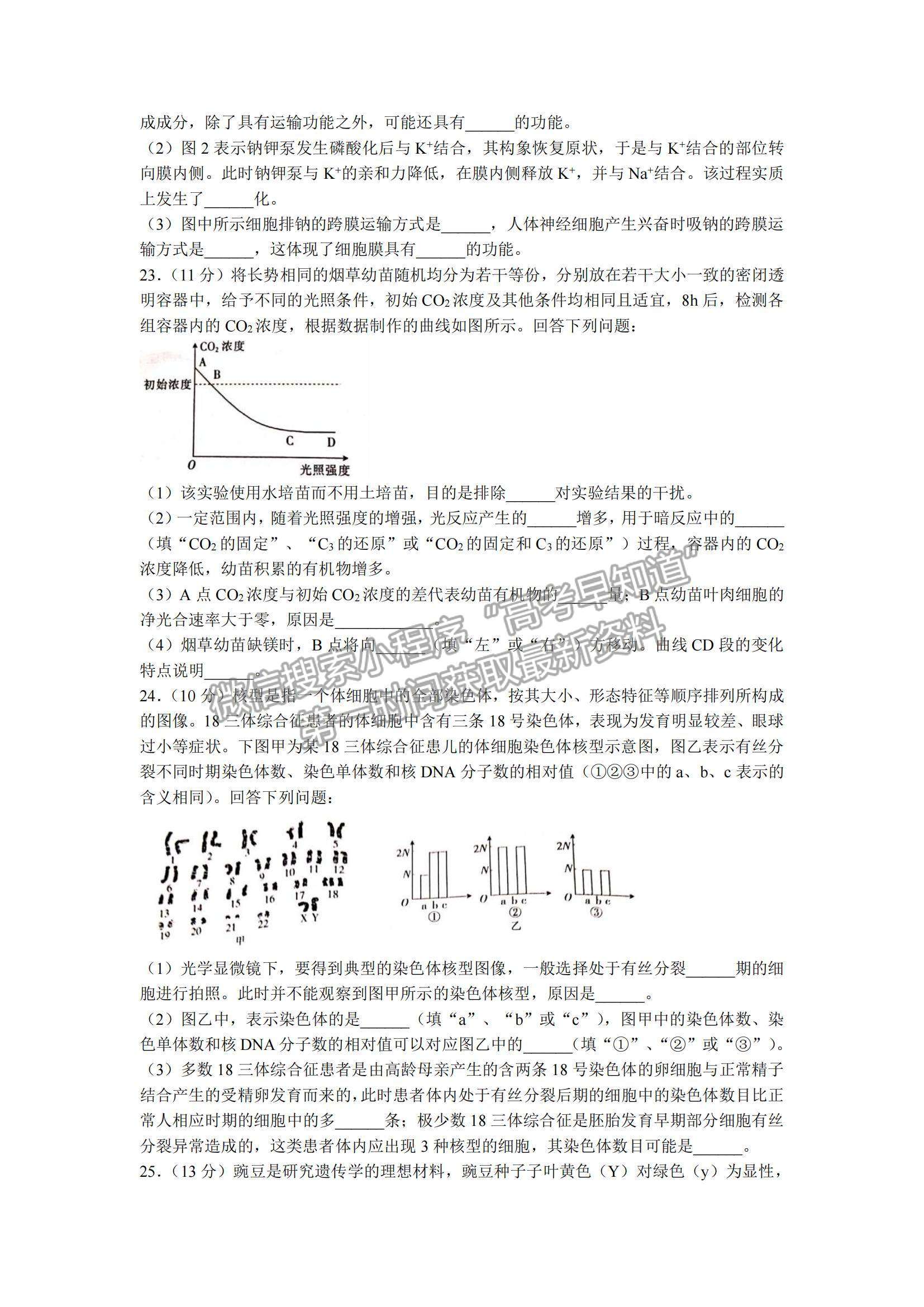 2022遼寧省葫蘆島市協(xié)作校高三10月第一次考試生物試題及參考答案