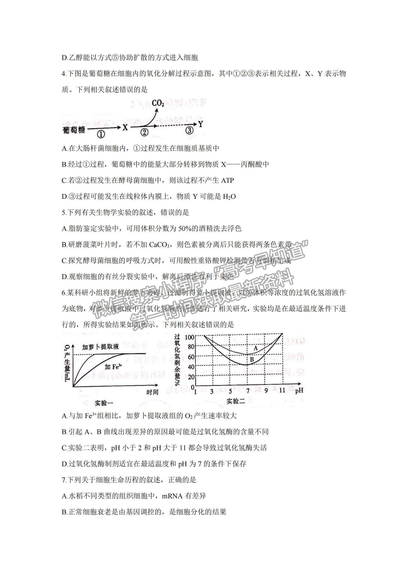 2022河北省邢臺(tái)市“五岳聯(lián)盟”高三10月聯(lián)考生物試題及參考答案