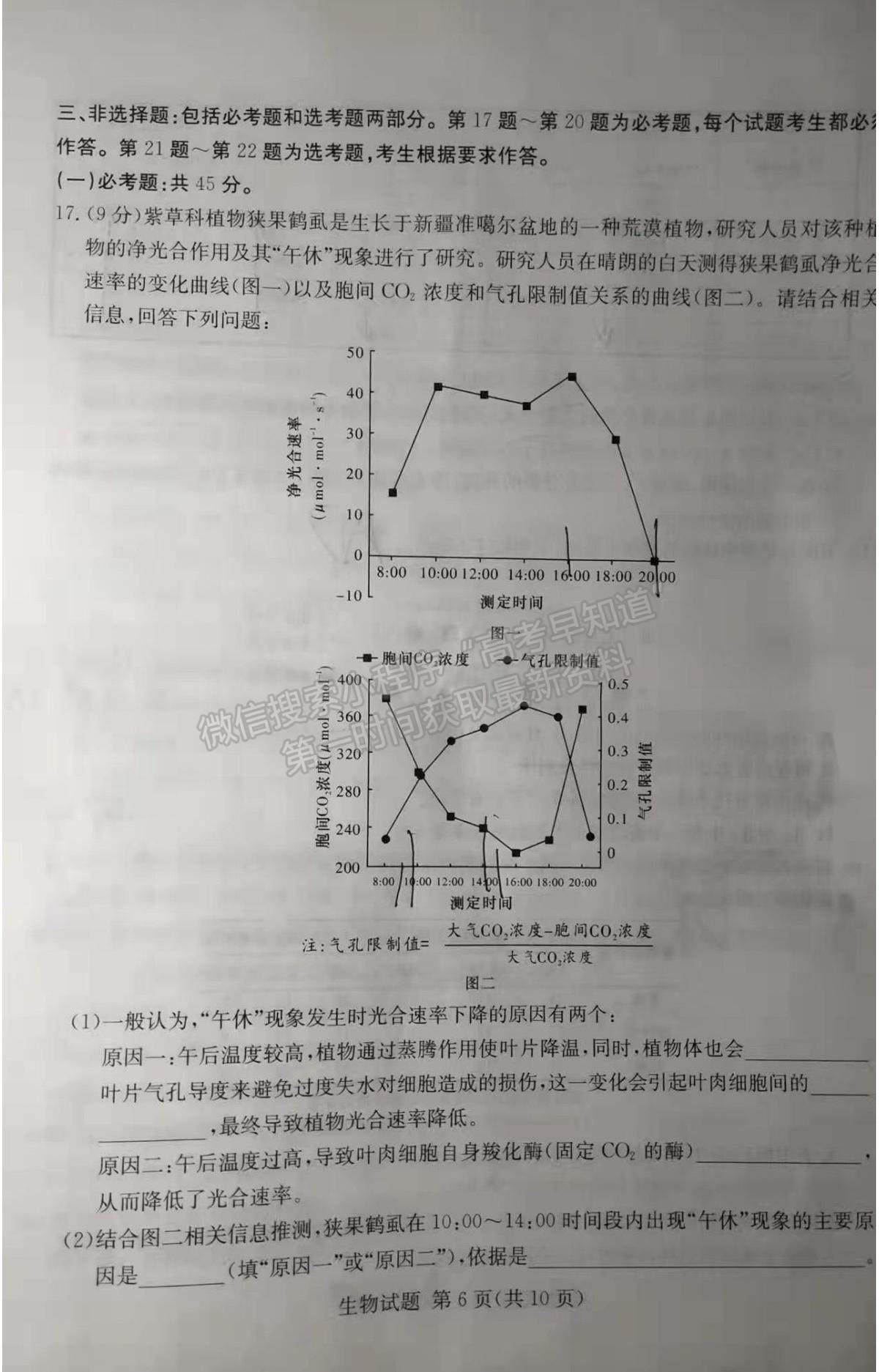 2022屆T8聯(lián)考高三第一次聯(lián)考生物試題及參考答案（湖南卷）