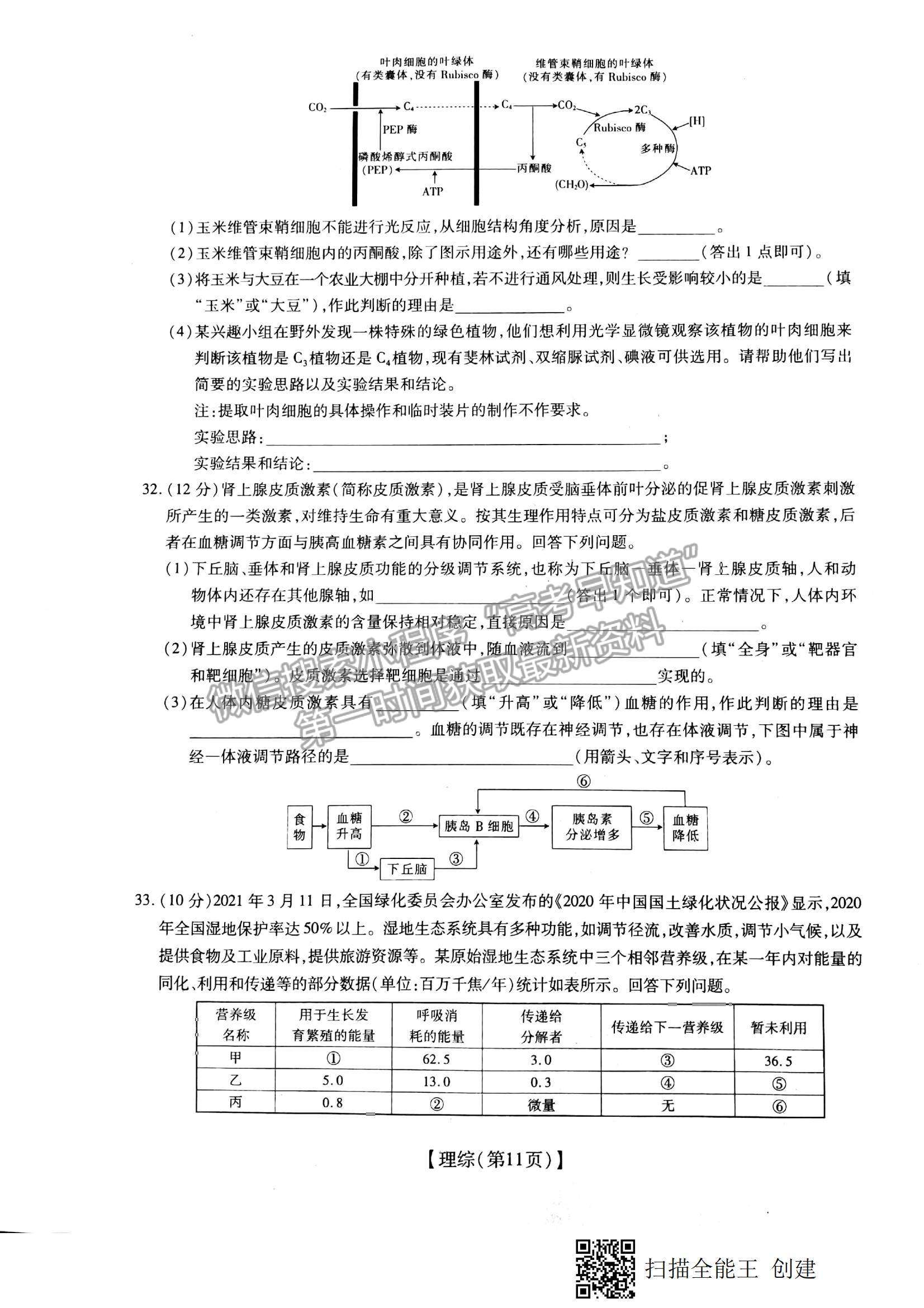 2022江西穩(wěn)派、智慧上進高三上學期12月月考理綜試題及參考答案