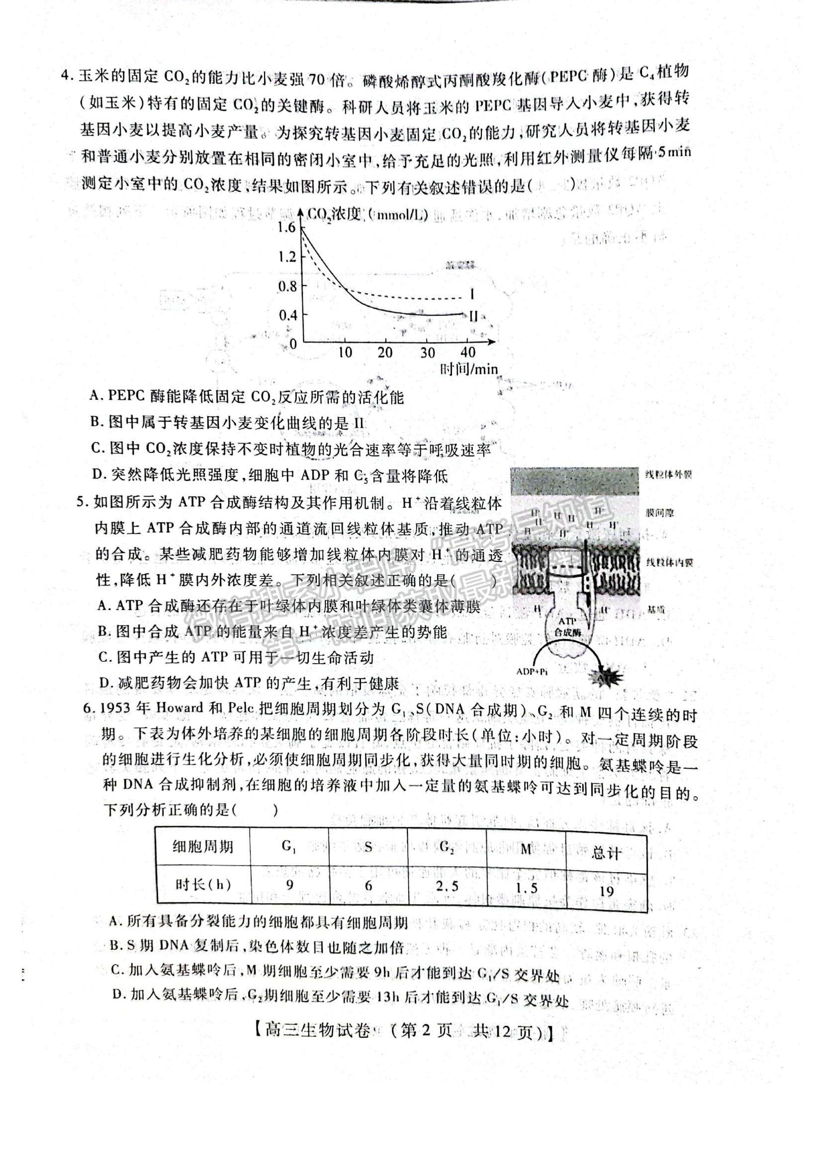 2022河南省重點中學(xué)高三模擬調(diào)研（一）生物試題及參考答案