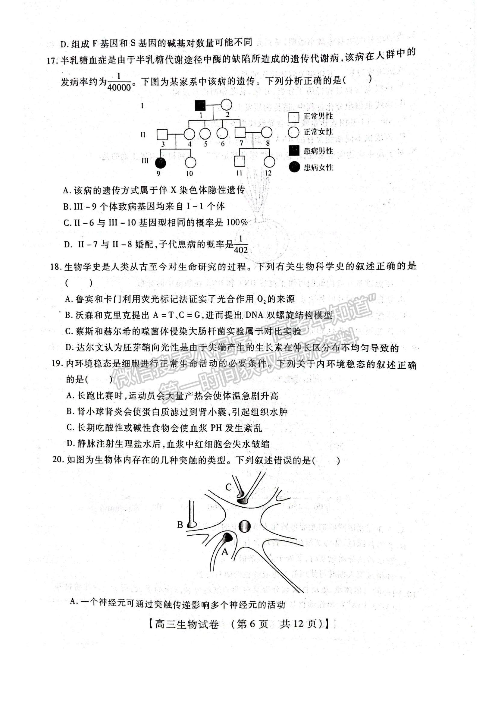 2022河南省重點中學高三模擬調(diào)研（一）生物試題及參考答案