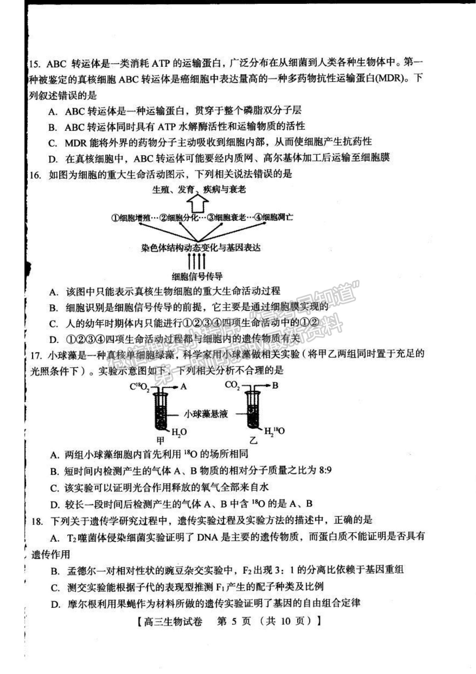 2022河南三門峽高三11月階段性檢測生物試題及參考答案