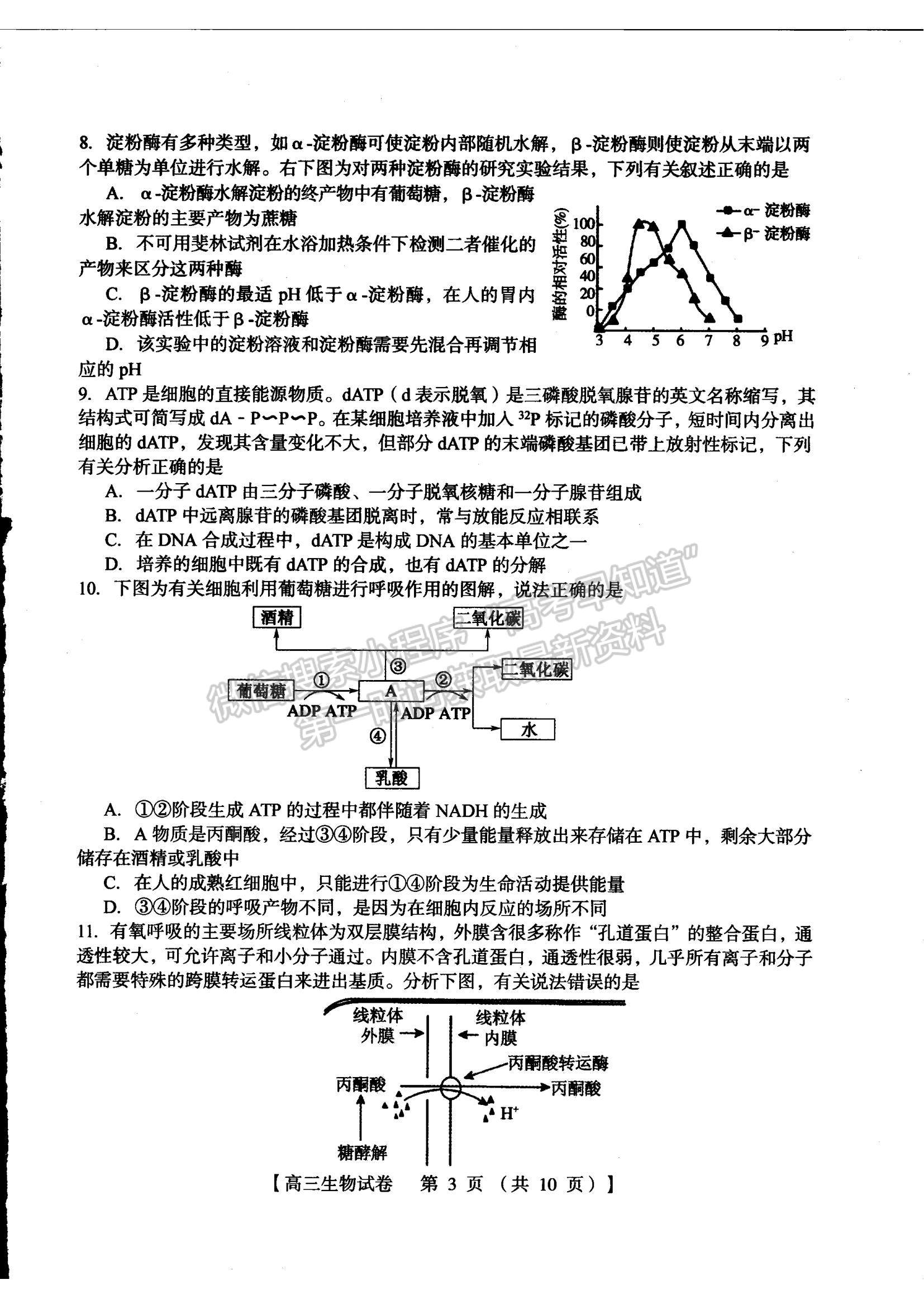 2022河南三門峽高三11月階段性檢測(cè)生物試題及參考答案