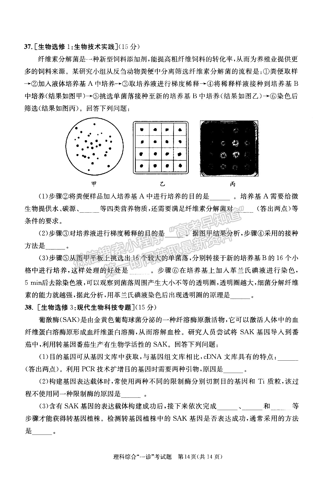 2022四川省成都市2019級(jí)高中畢業(yè)班第一次診斷性檢測理科綜合試題及答案