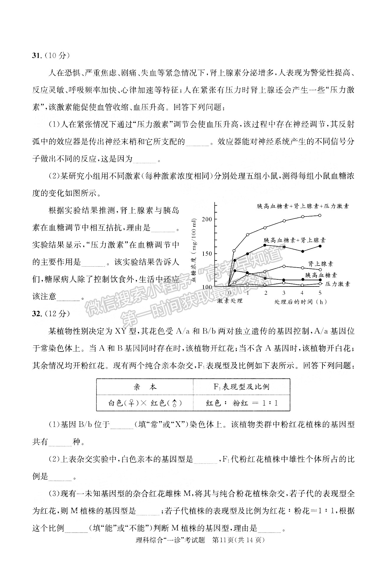 2022四川省成都市2019級(jí)高中畢業(yè)班第一次診斷性檢測(cè)理科綜合試題及答案