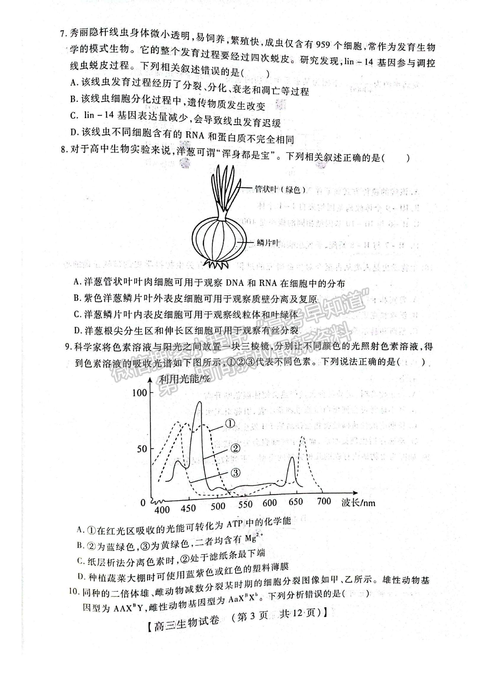 2022河南省重點中學(xué)高三模擬調(diào)研（一）生物試題及參考答案