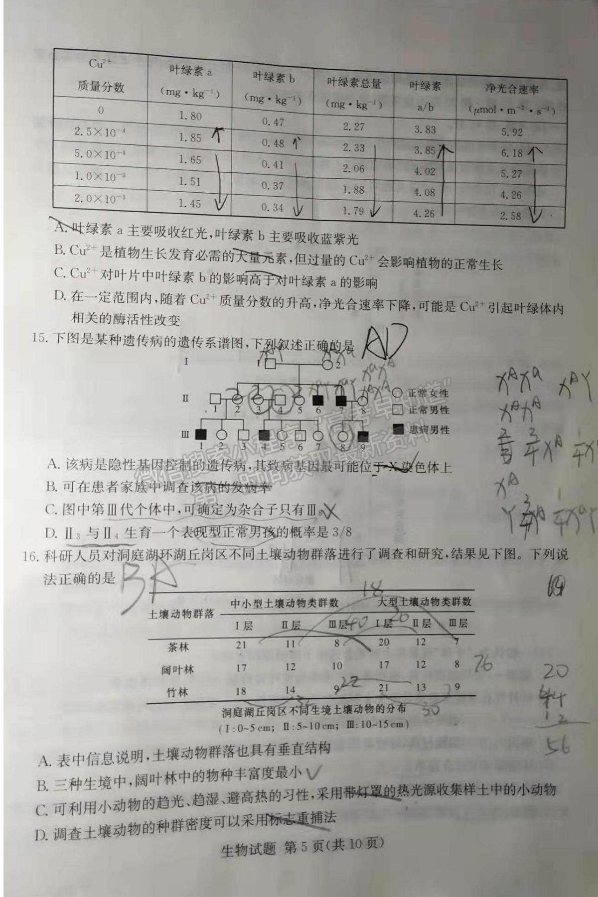 2022屆T8聯(lián)考高三第一次聯(lián)考生物試題及參考答案（湖南卷）