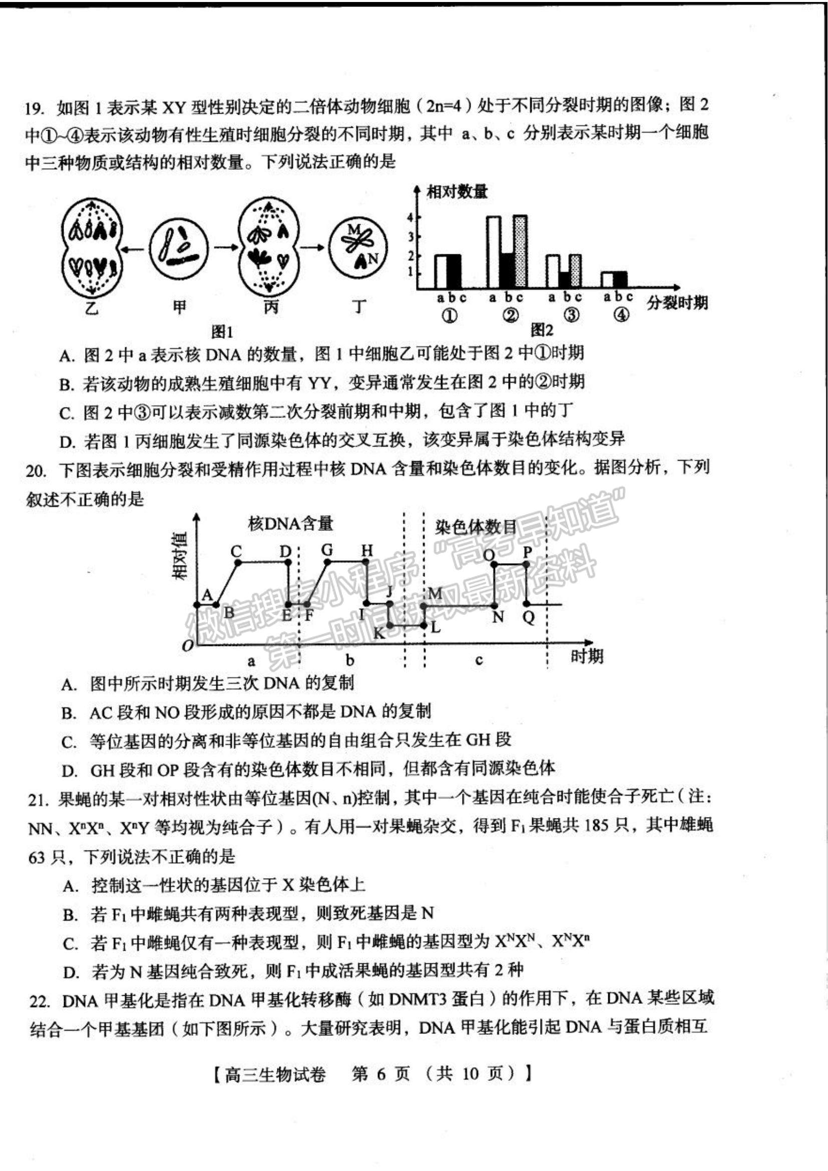 2022河南三門峽高三11月階段性檢測生物試題及參考答案