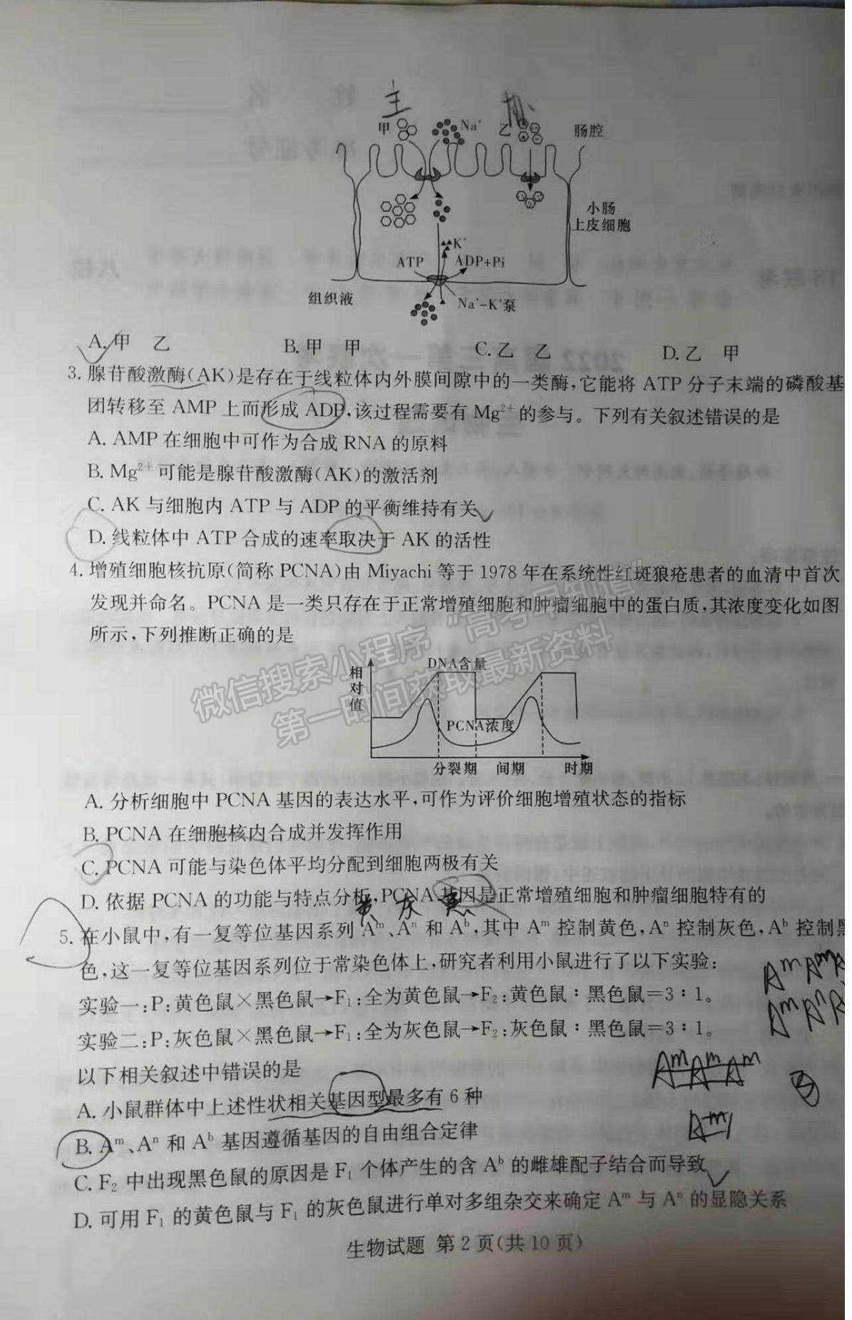 2022屆T8聯(lián)考高三第一次聯(lián)考生物試題及參考答案（湖南卷）