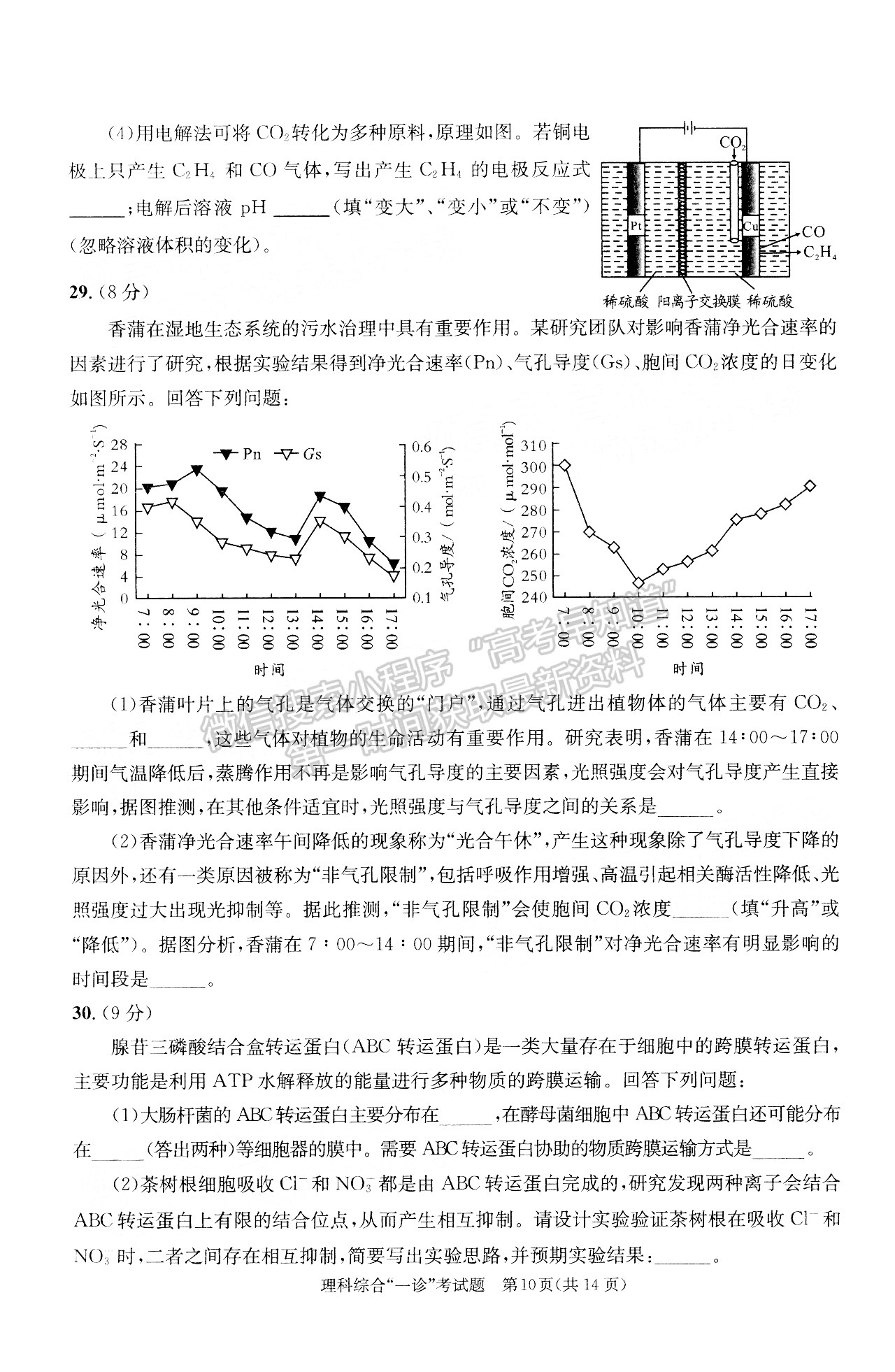 2022四川省成都市2019級(jí)高中畢業(yè)班第一次診斷性檢測(cè)理科綜合試題及答案