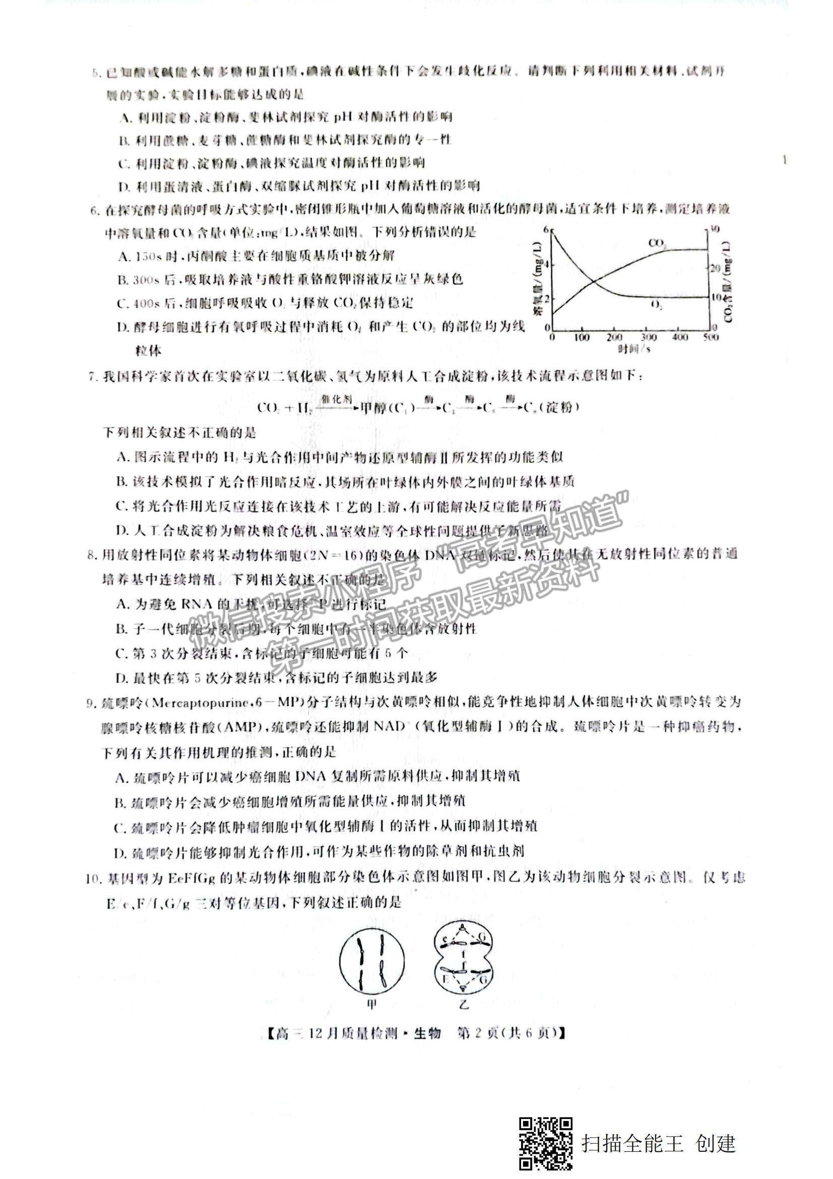 2022金科大聯(lián)考高三第二次聯(lián)考生物試題及參考答案