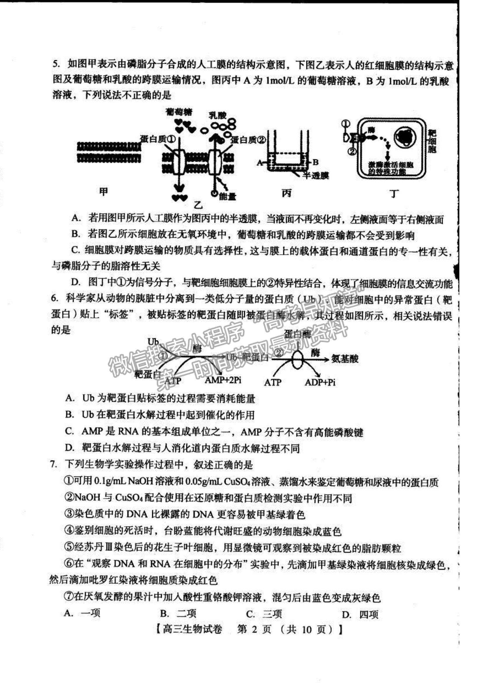 2022河南三門峽高三11月階段性檢測(cè)生物試題及參考答案