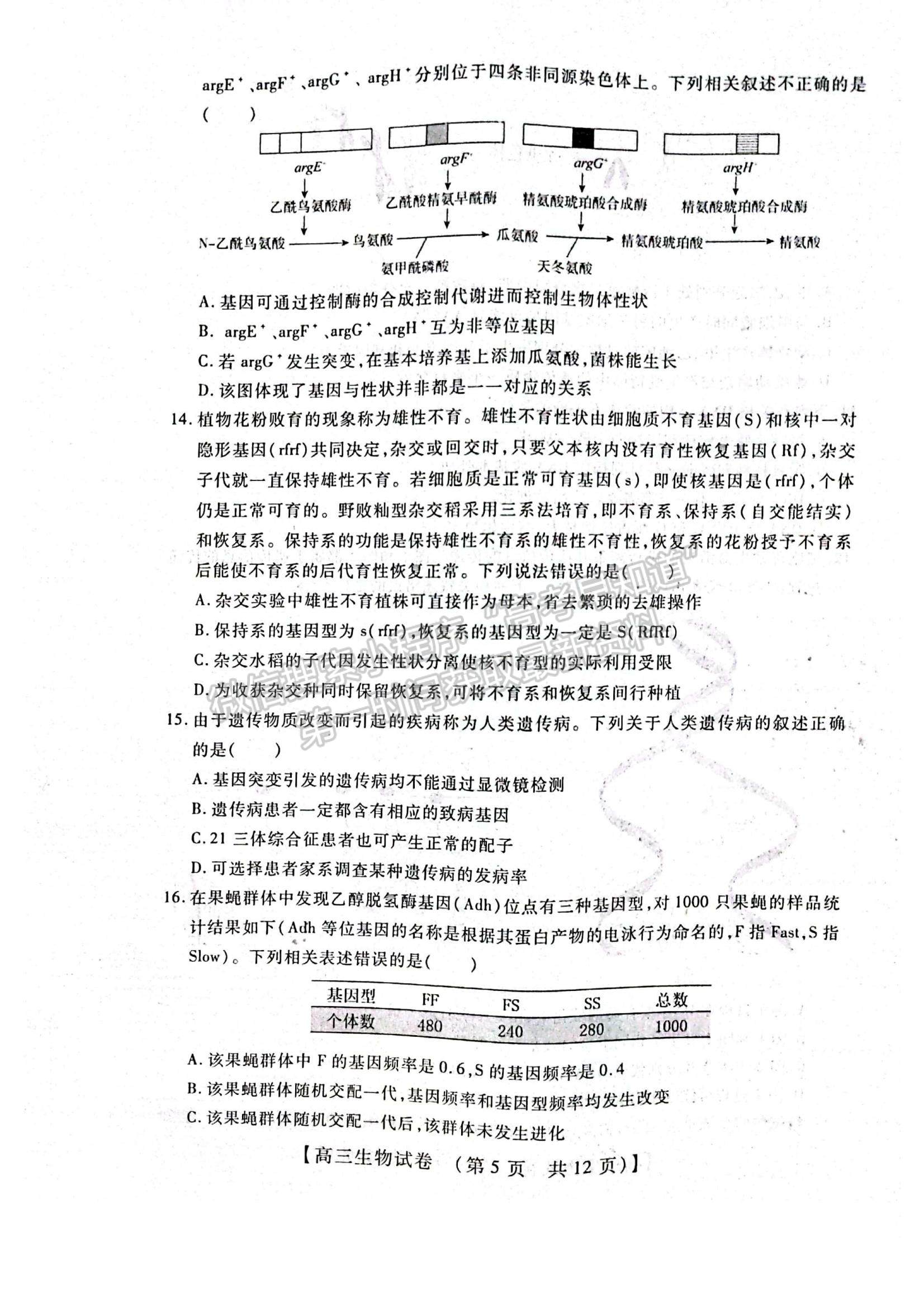 2022河南省重點中學(xué)高三模擬調(diào)研（一）生物試題及參考答案