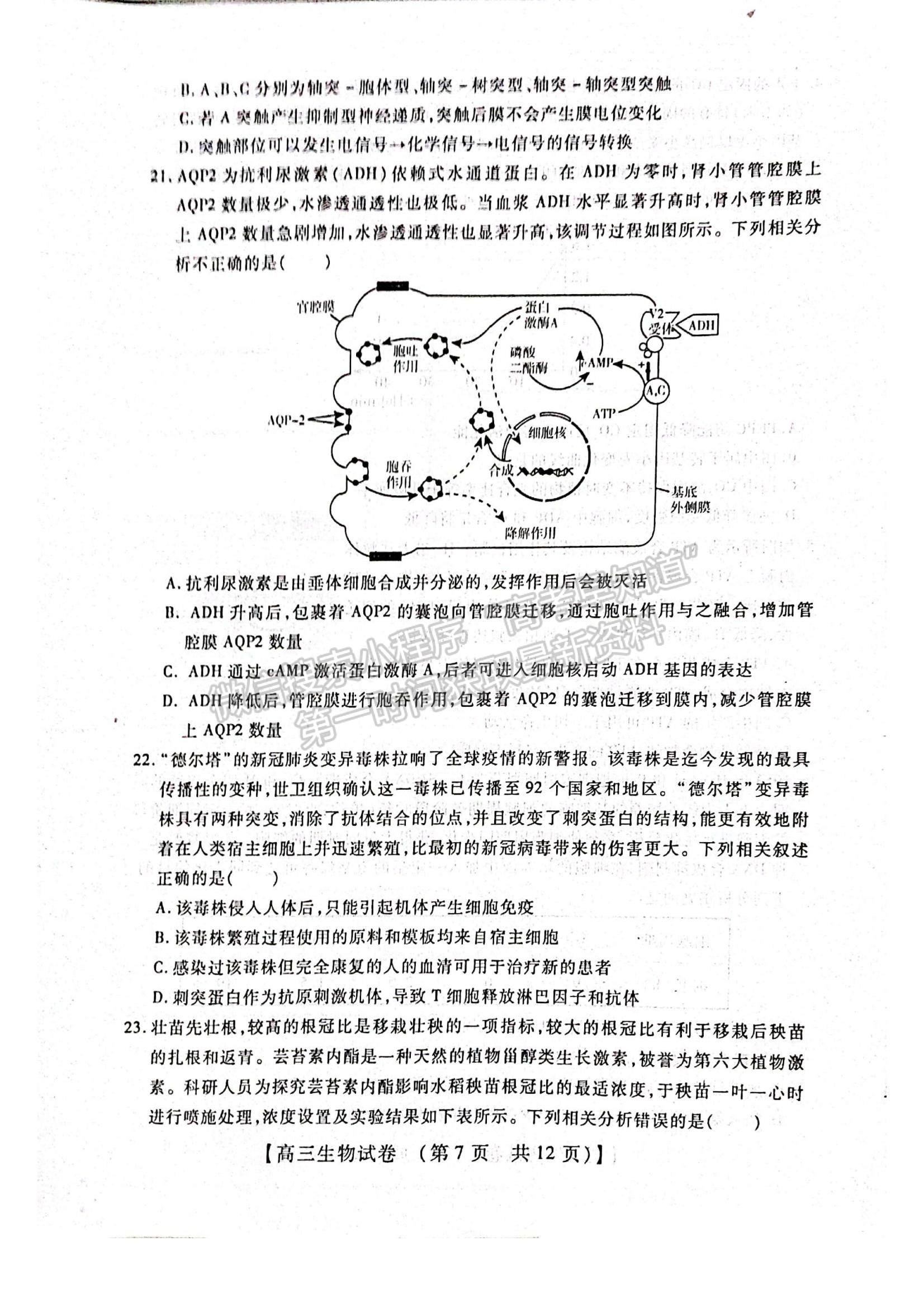 2022河南省重點中學(xué)高三模擬調(diào)研（一）生物試題及參考答案