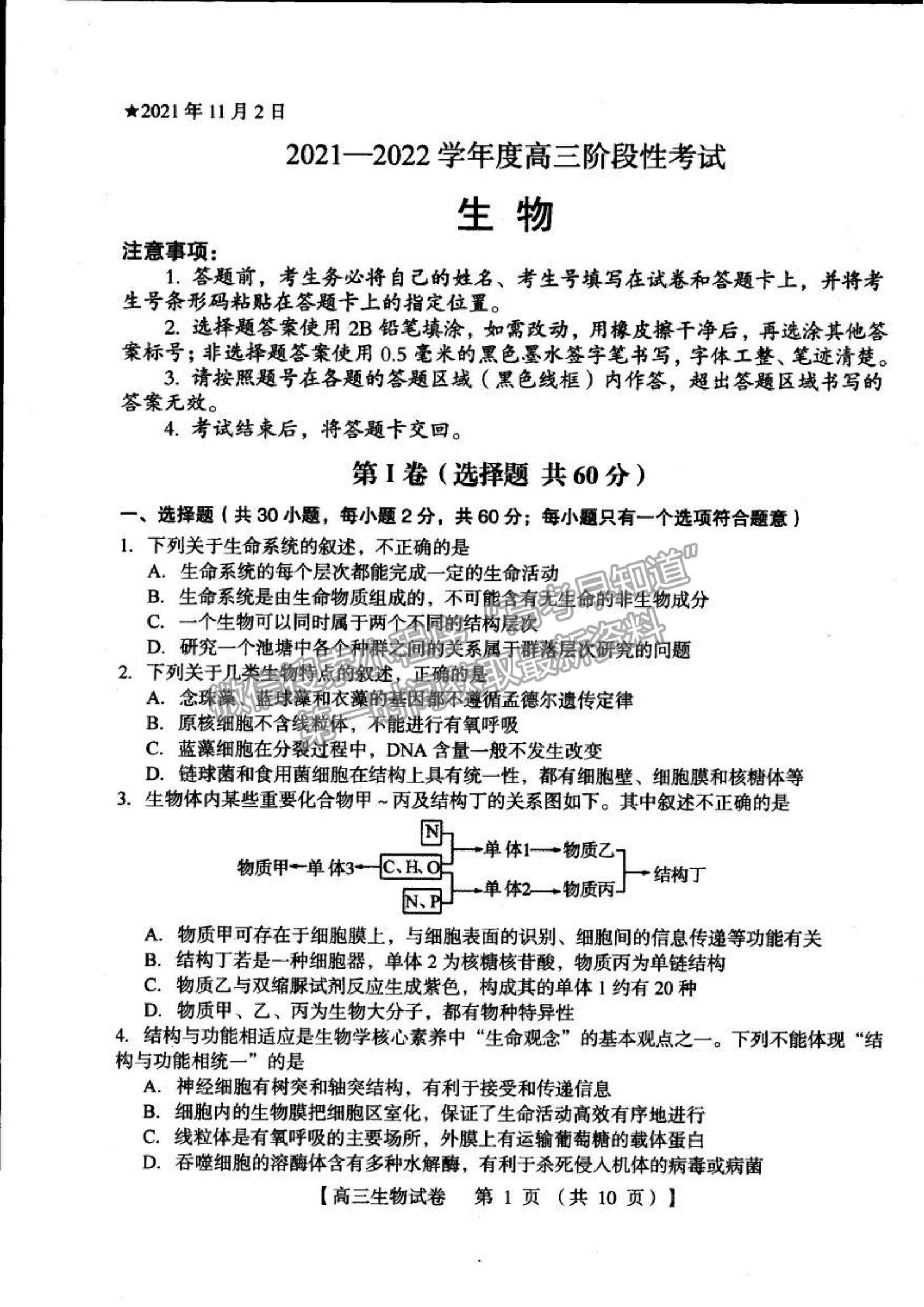 2022河南三門峽高三11月階段性檢測(cè)生物試題及參考答案