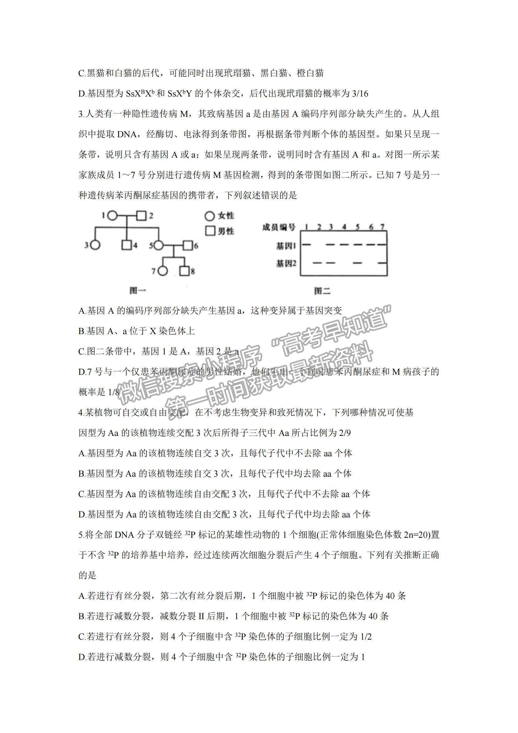 2022新疆維吾爾自治區(qū)喀什市高三上學(xué)期全真模擬生物試題及參考答案