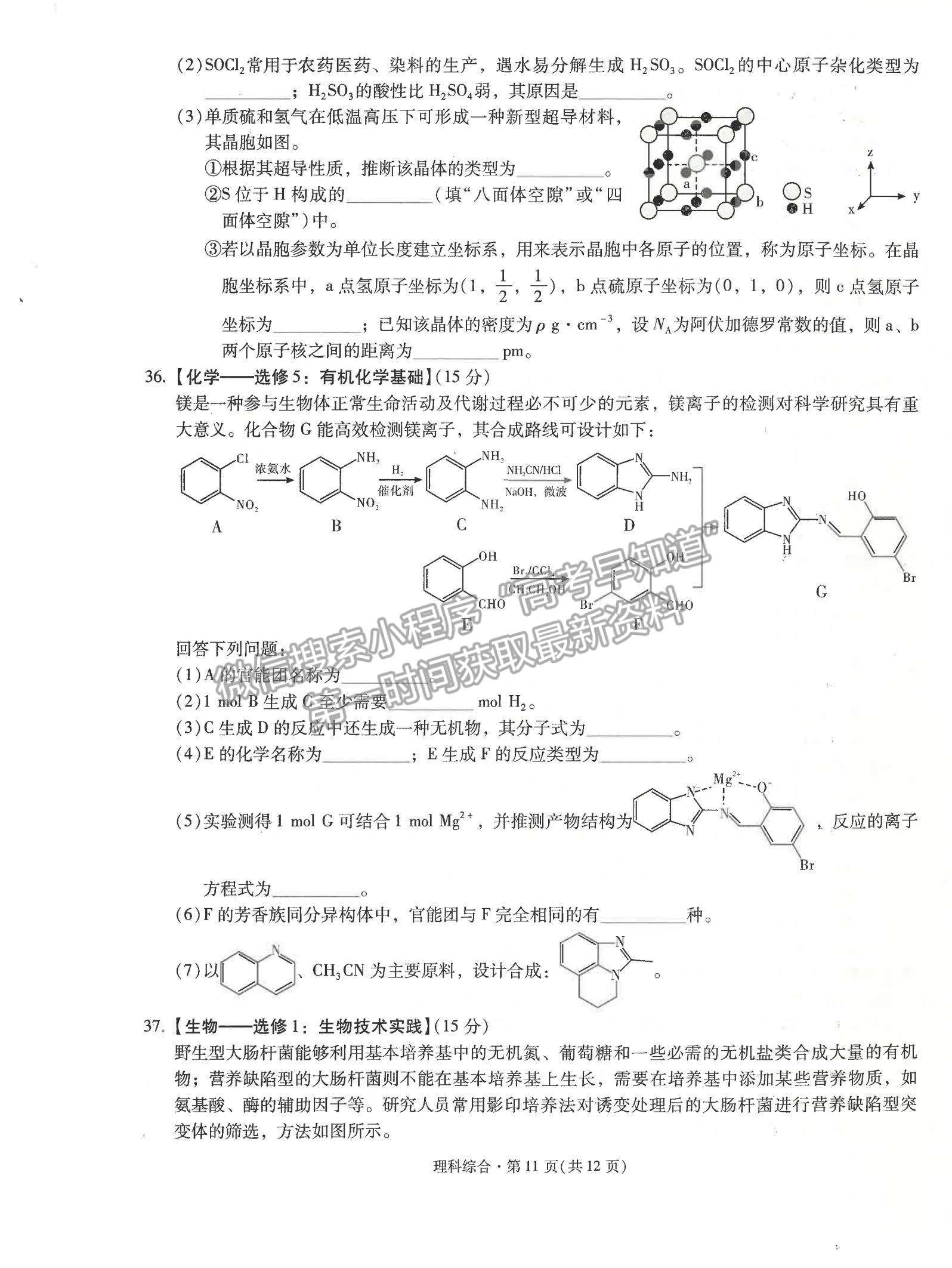 2022云南省昆明一中高三第五次雙基檢測(cè)理綜試題及參考答案