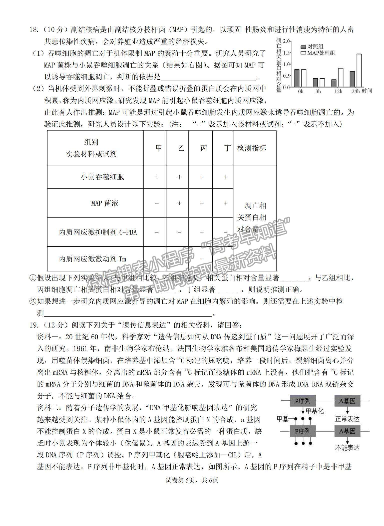 2022福建龙岩一中高三第三次月考生物试题及参考答案