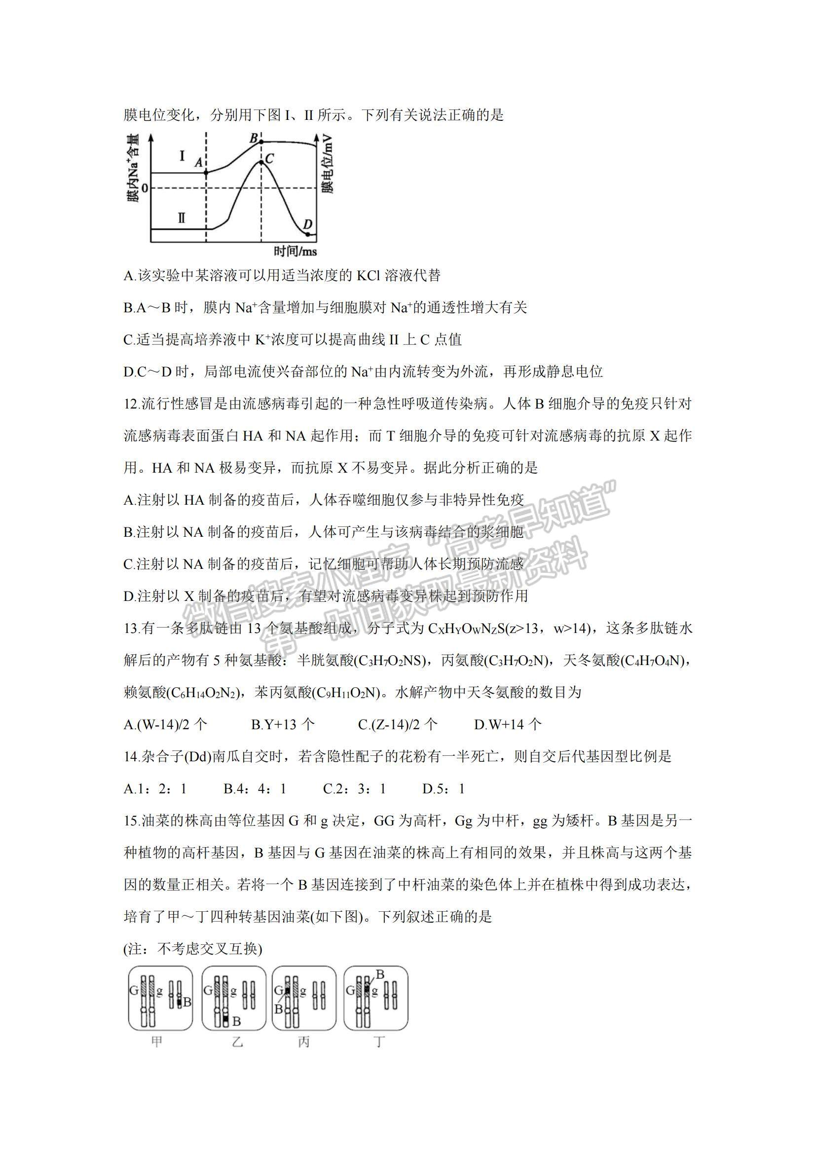 2022新疆維吾爾自治區(qū)喀什市高三上學(xué)期全真模擬生物試題及參考答案