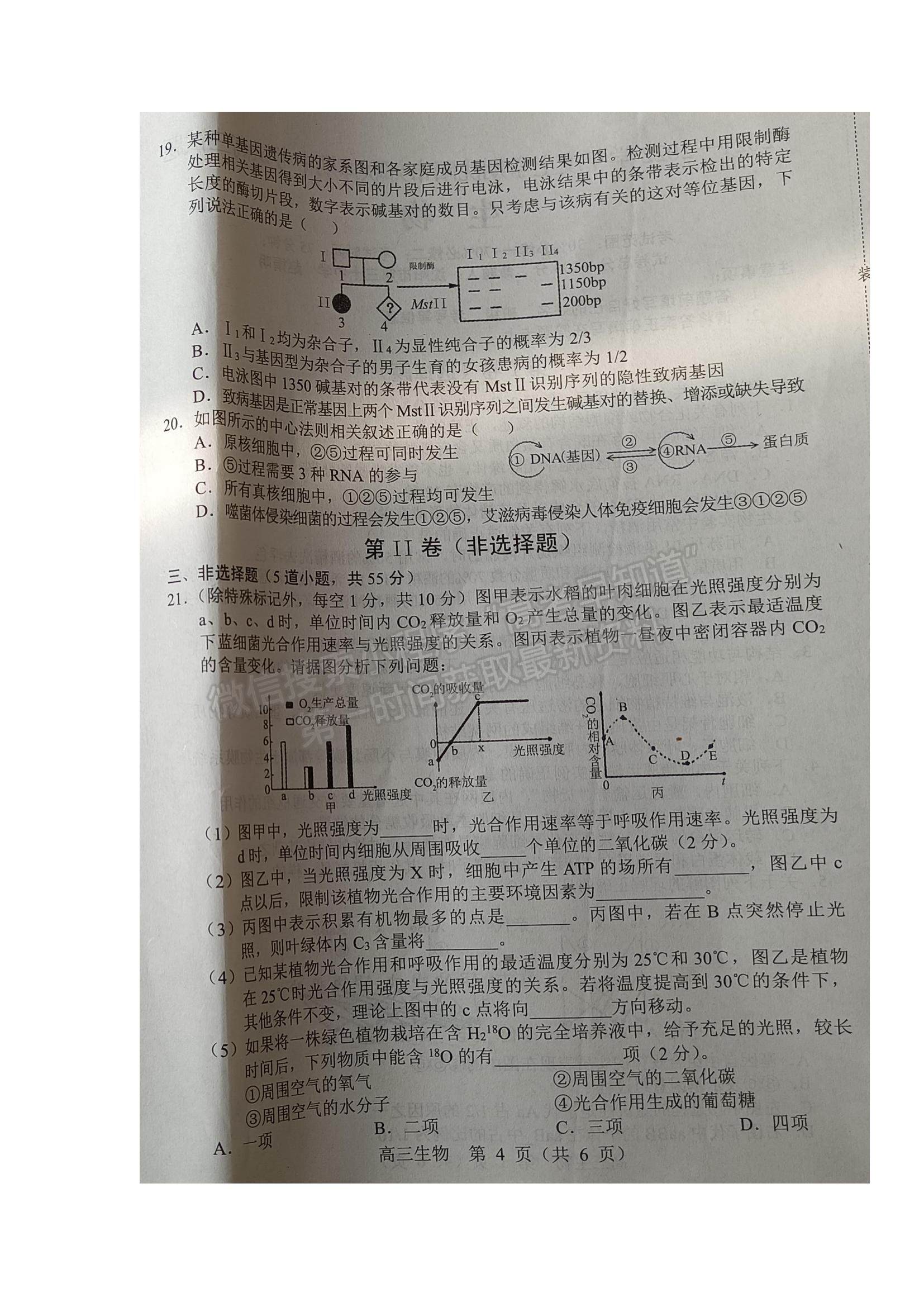 2022遼寧沈陽市郊聯(lián)體高三上學(xué)期期中考試生物試題及參考答案