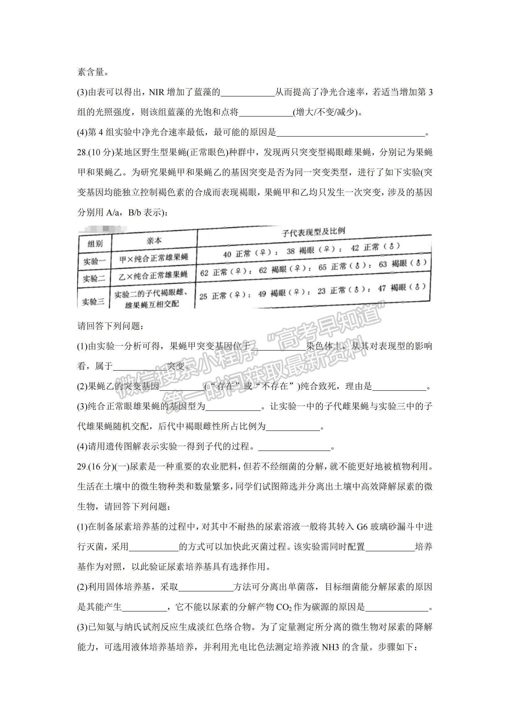 2022浙江省杭州地區(qū)（含周邊）重點(diǎn)中學(xué)高三上學(xué)期期中考試生物試題及參考答案