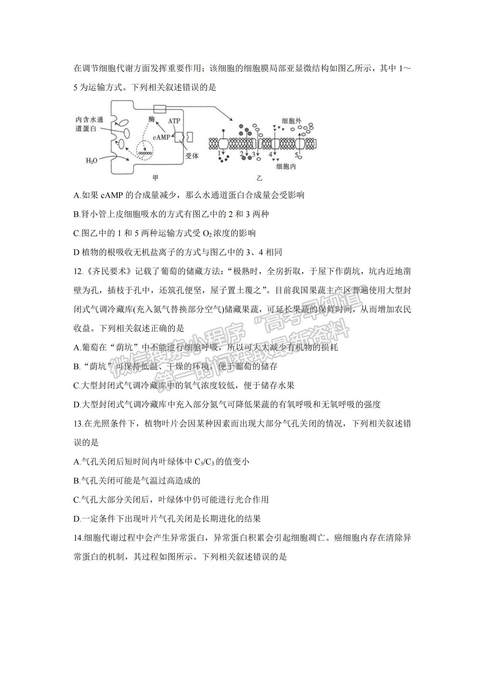 2022河南高三上学期9月调研考试（三）生物试题及参考答案