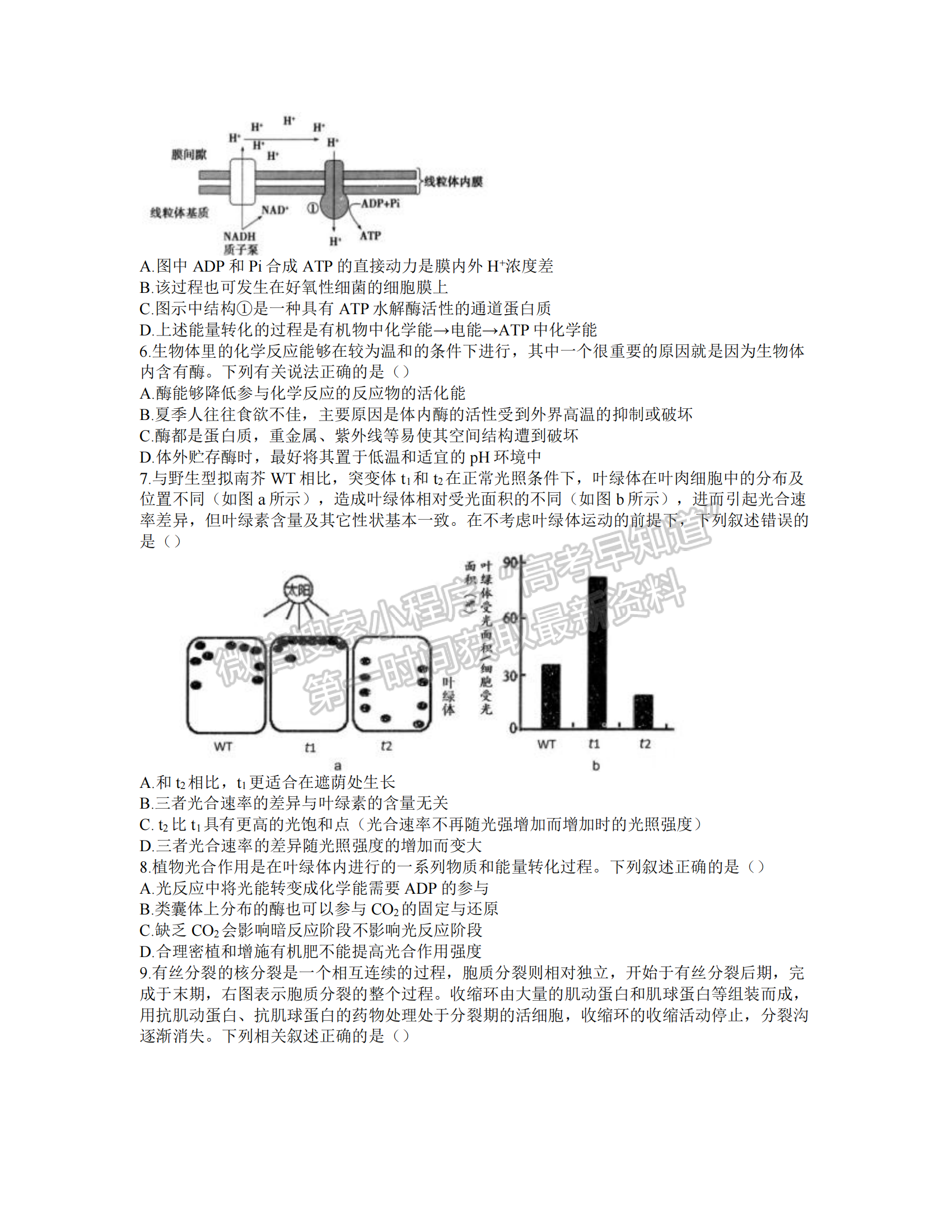 2022屆T8聯(lián)考高三第一次聯(lián)考生物（湖北卷）試題及參考答案