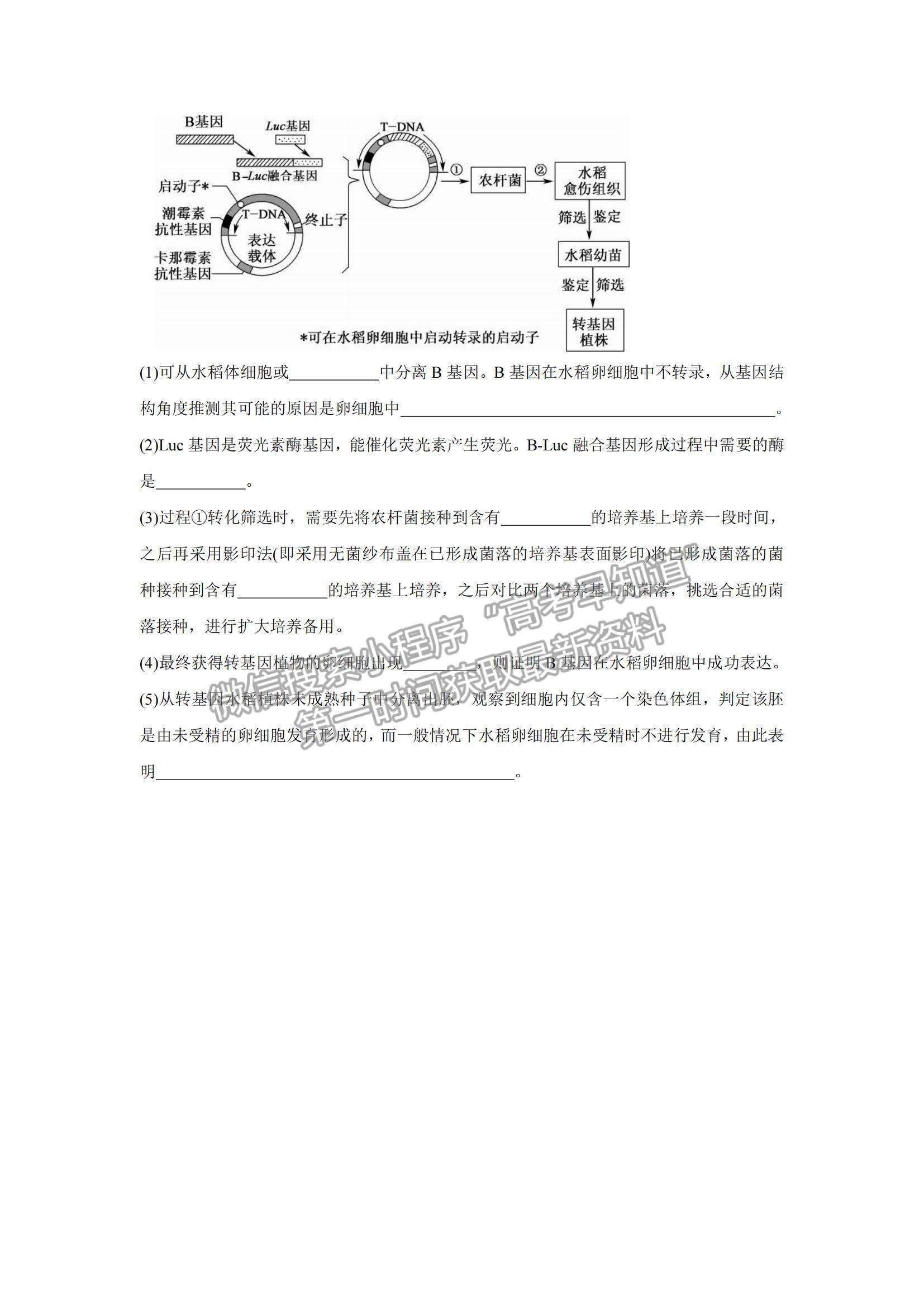 2022廣西北海高三一模生物試題及參考答案