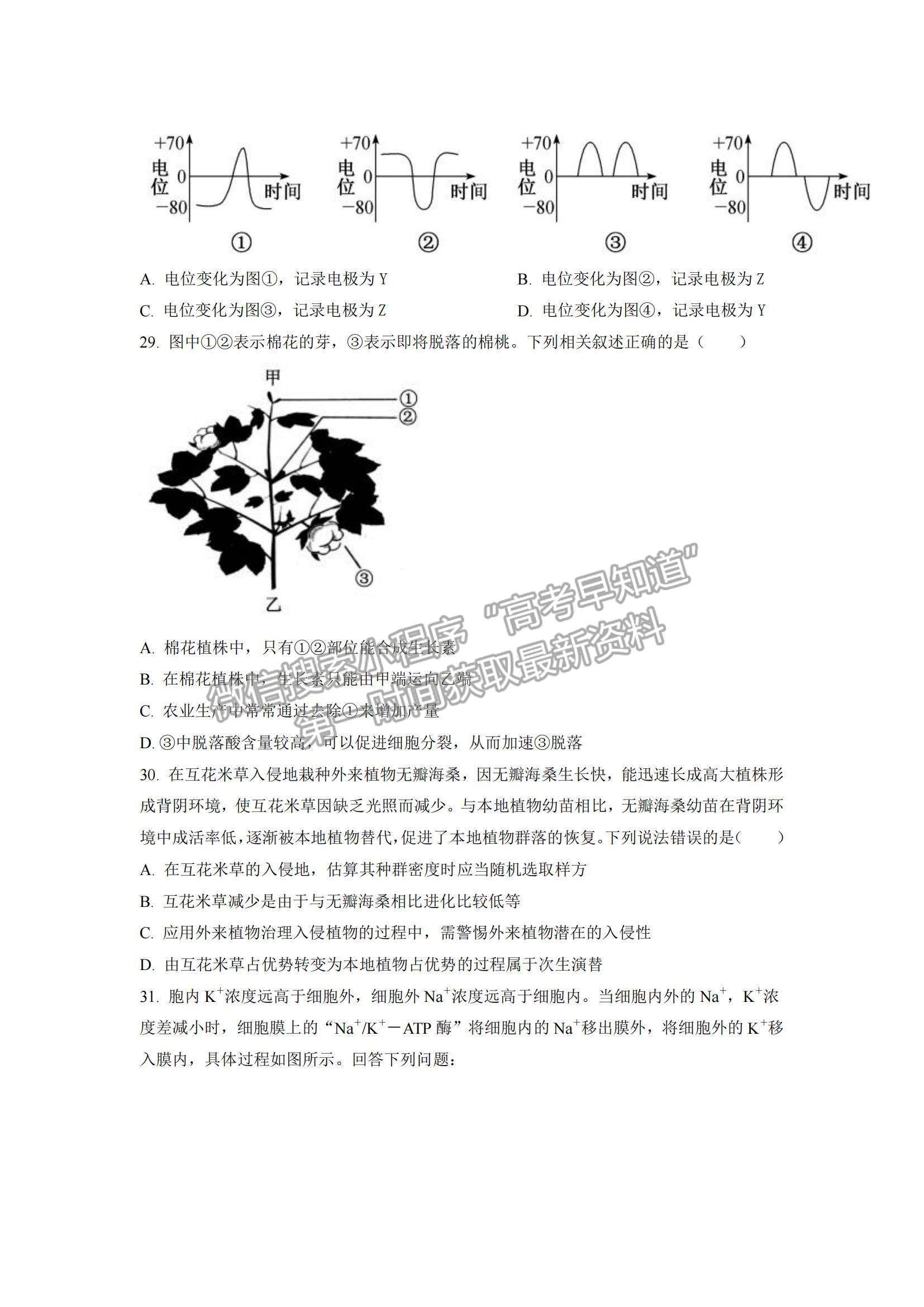 2022安徽省六安一中、阜陽(yáng)一中、合肥八中等校高三10月聯(lián)考生物試題及參考答案