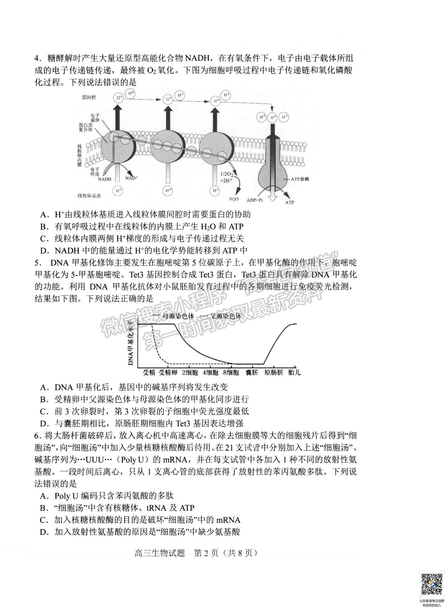 2022山東省淄博市高三12月教學(xué)質(zhì)量摸底檢測生物試題及參考答案