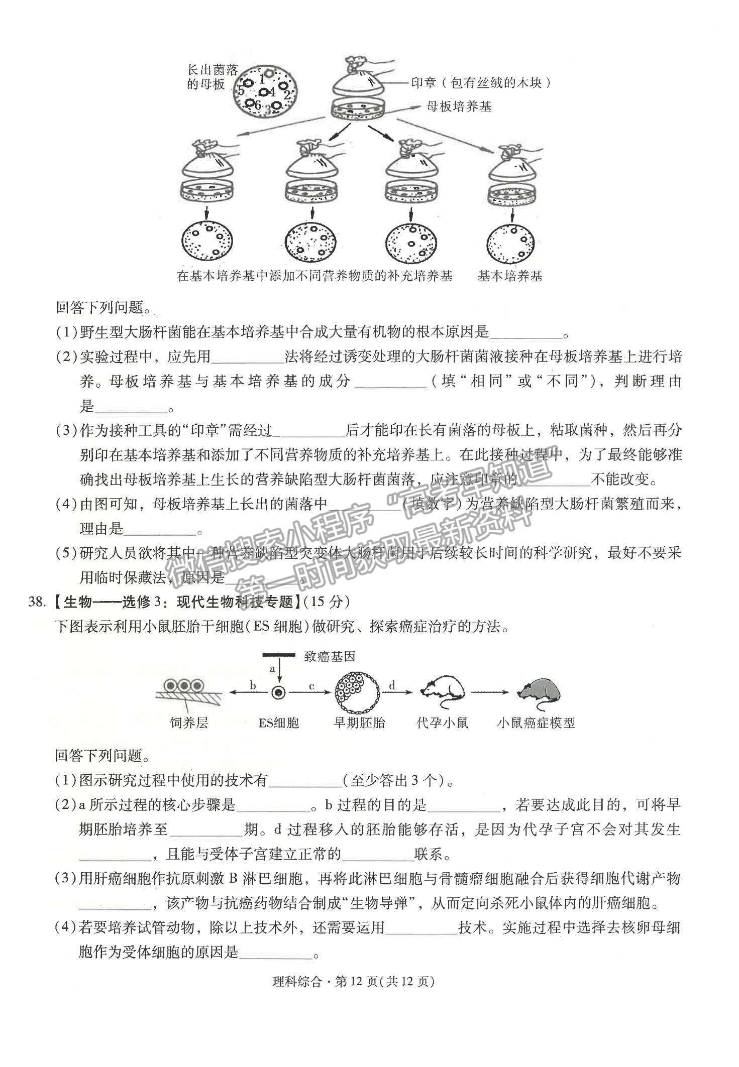 2022云南省昆明一中高三第五次雙基檢測(cè)理綜試題及參考答案