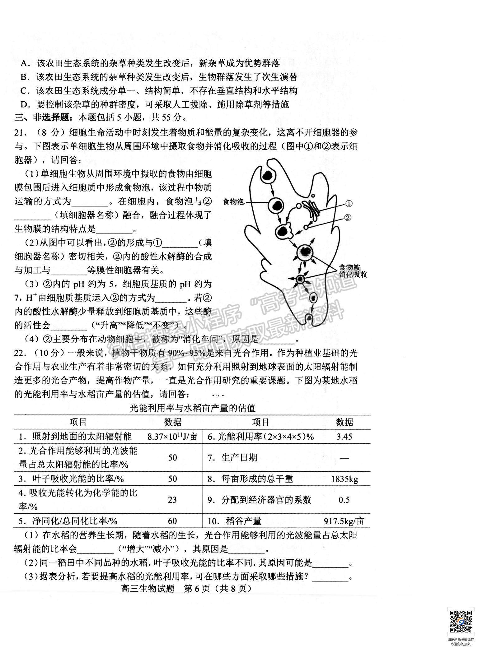 2022山東省淄博市高三12月教學(xué)質(zhì)量摸底檢測生物試題及參考答案