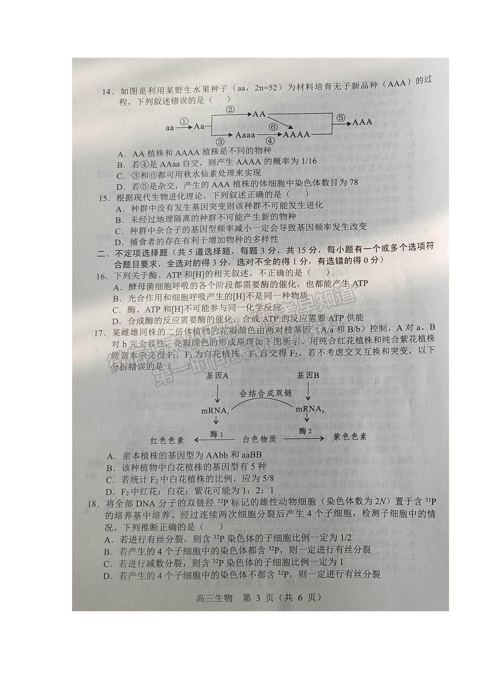 2022遼寧沈陽市郊聯(lián)體高三上學(xué)期期中考試生物試題及參考答案