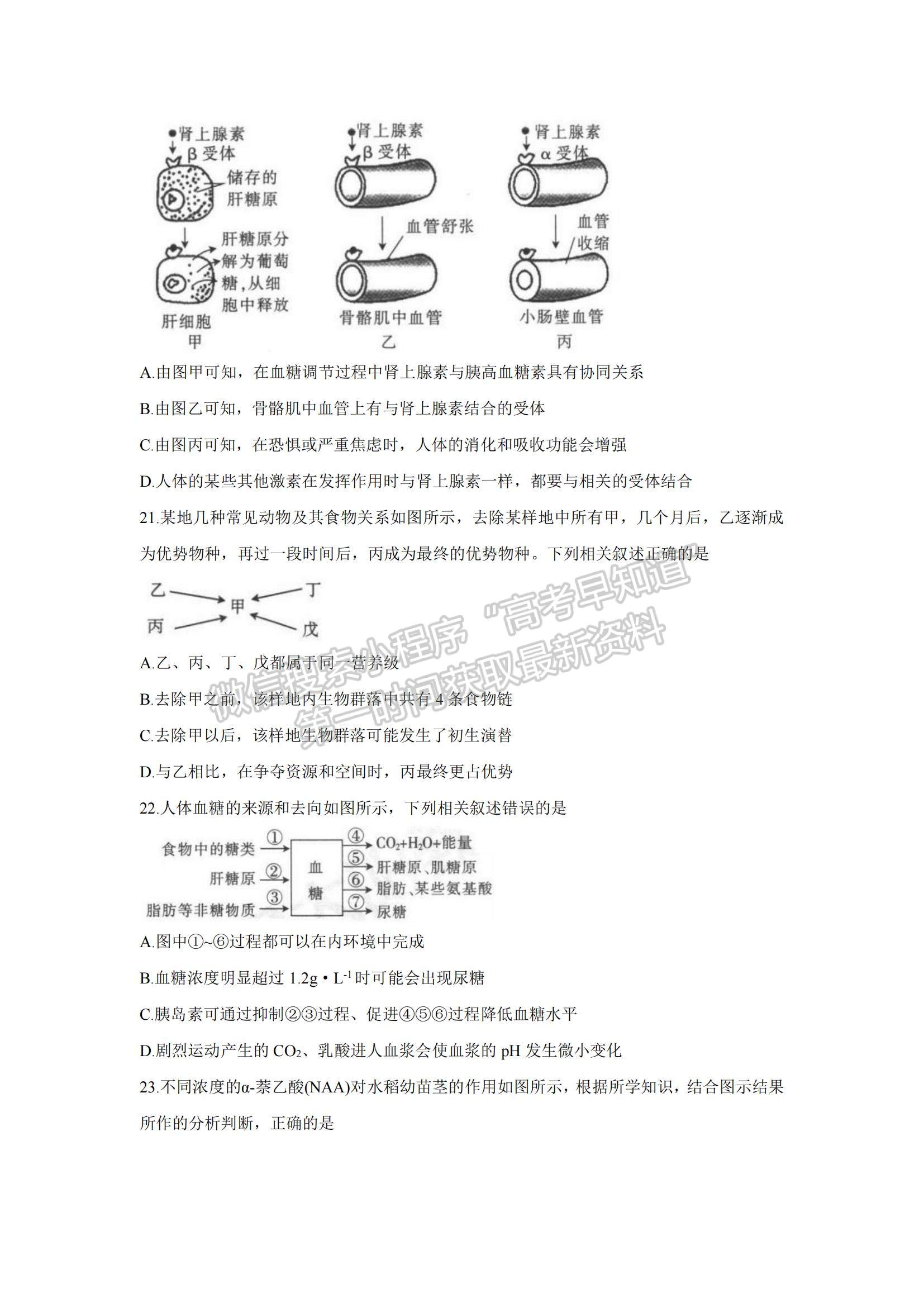 2022河南高三上学期9月调研考试（三）生物试题及参考答案