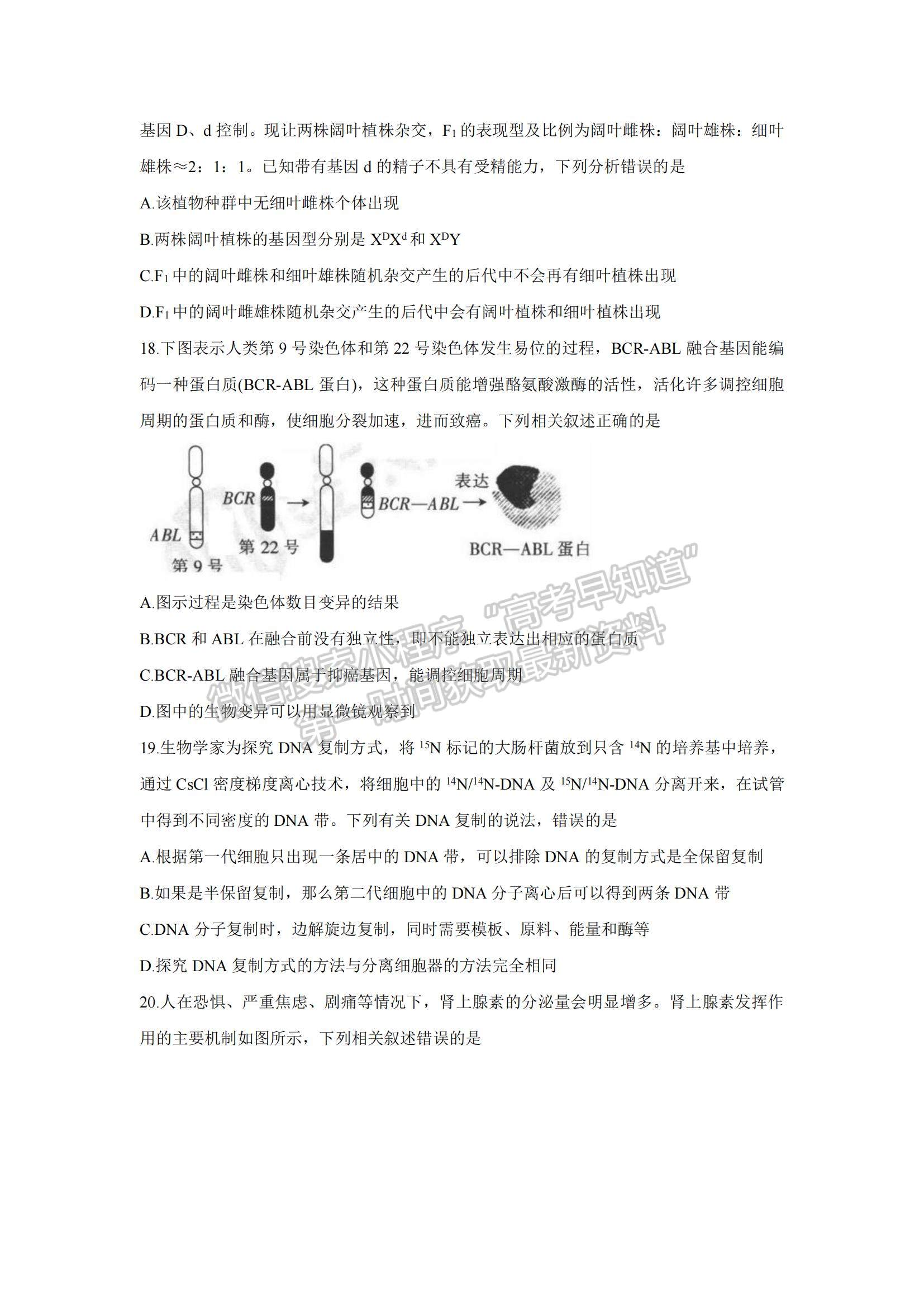 2022河南高三上學(xué)期9月調(diào)研考試（三）生物試題及參考答案