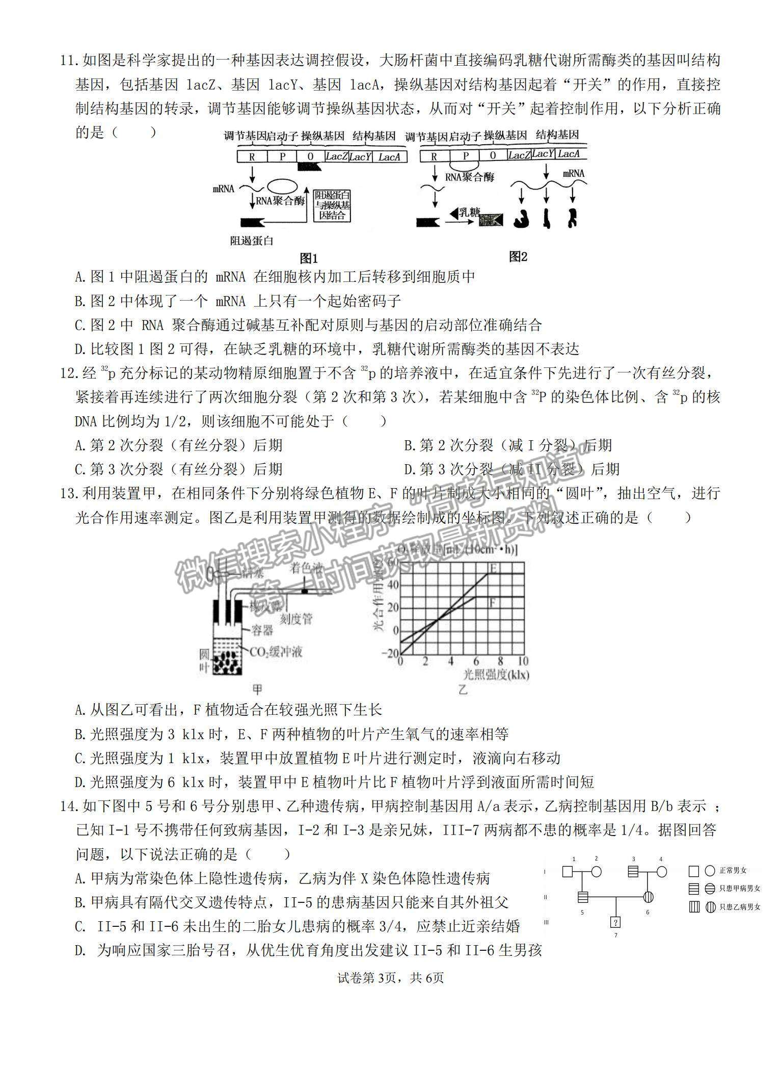 2022福建龙岩一中高三第三次月考生物试题及参考答案