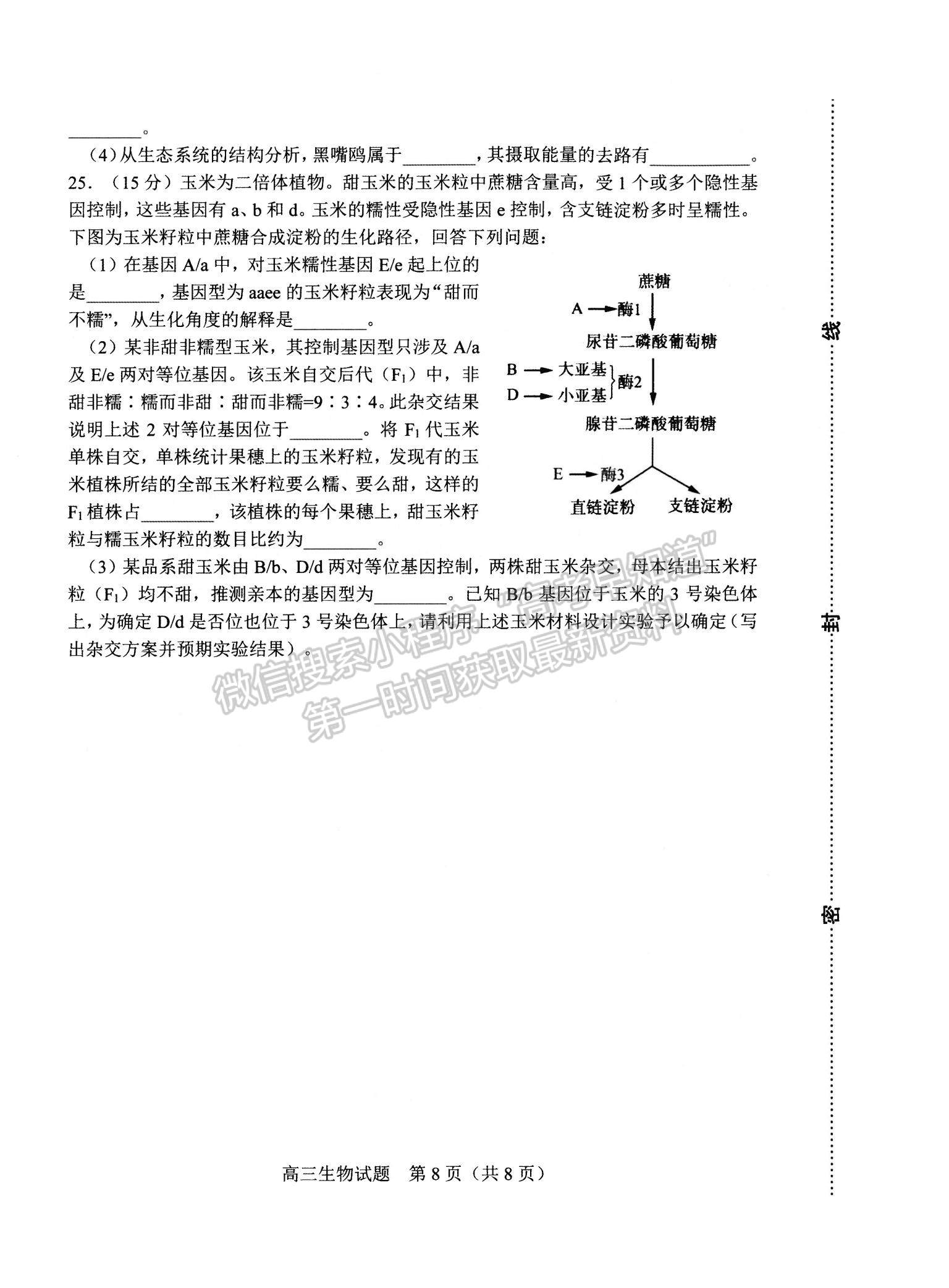 2022山東省淄博市高三12月教學(xué)質(zhì)量摸底檢測生物試題及參考答案