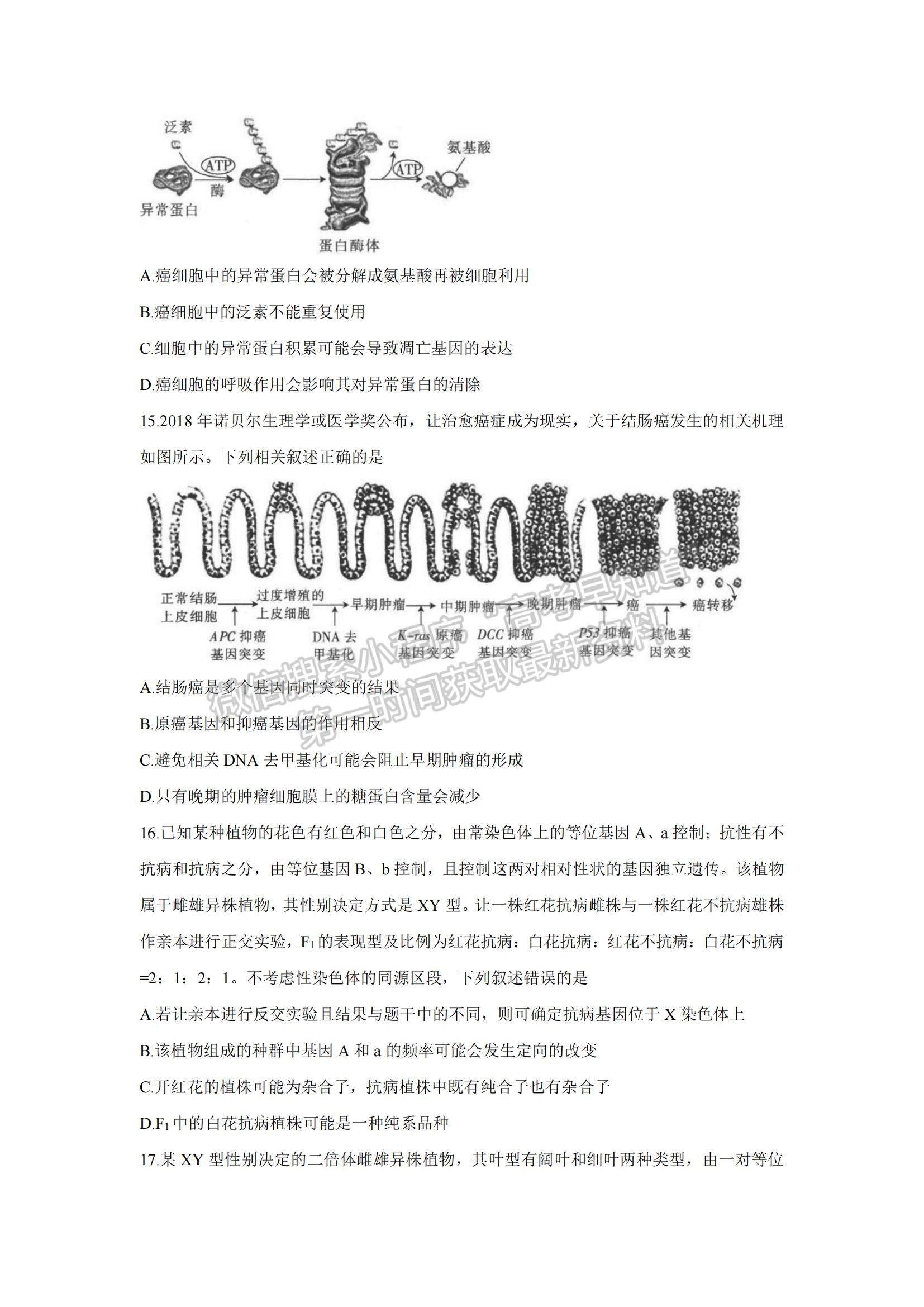 2022河南高三上学期9月调研考试（三）生物试题及参考答案