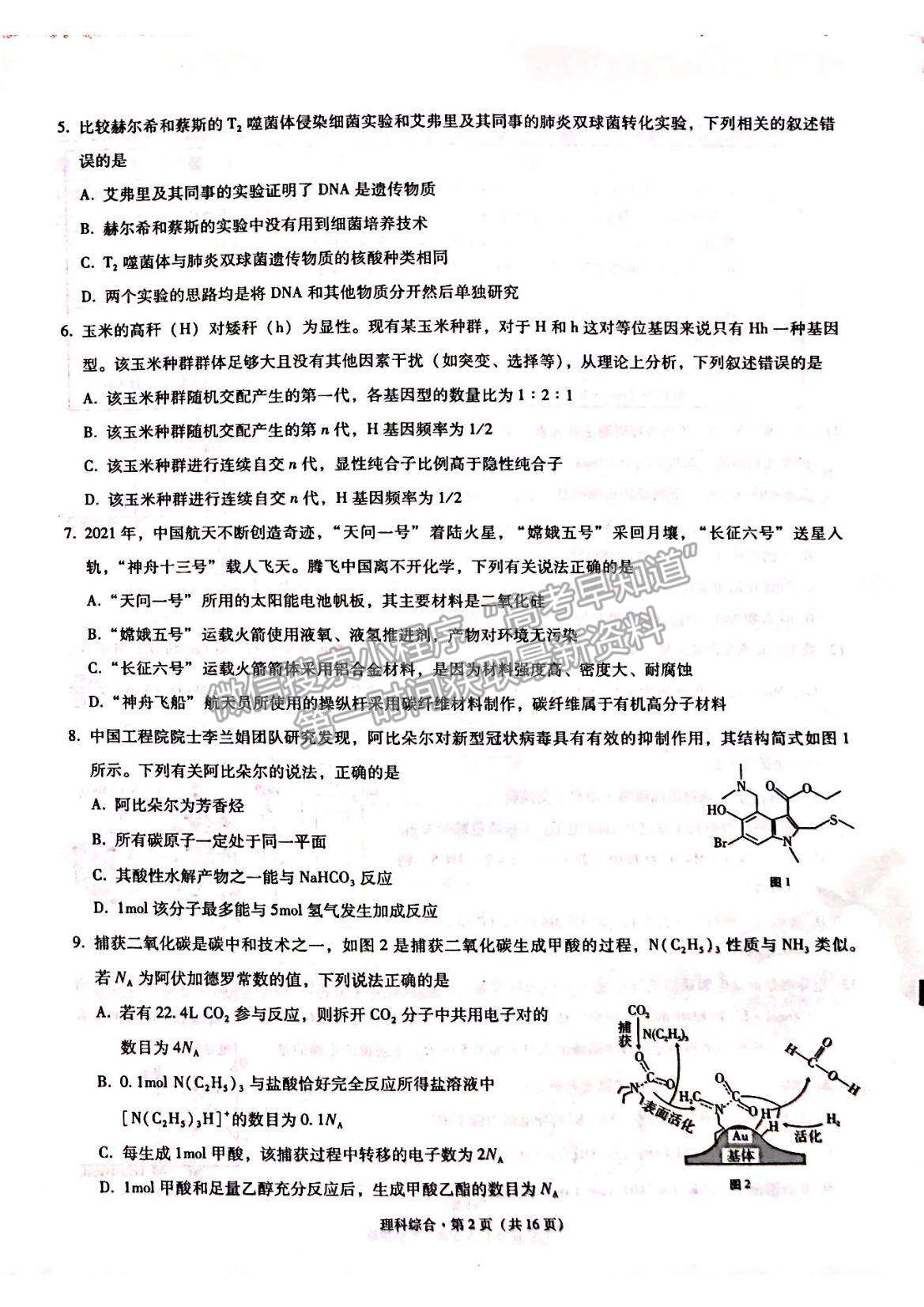 2022“3+3+3”西南名校聯(lián)盟高三12月聯(lián)考理綜試題及參考答案