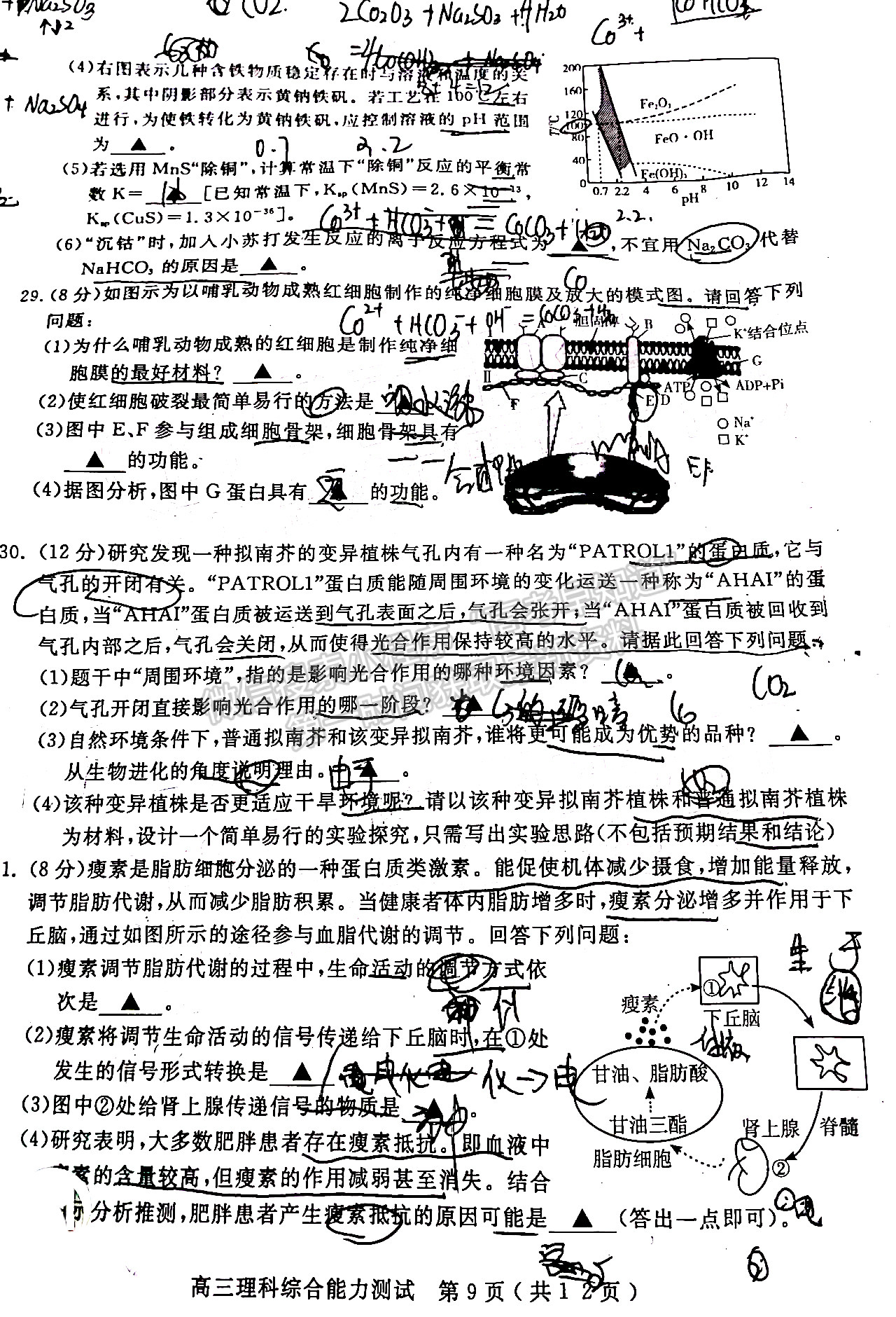 2022四川省樂山市高中2022屆第一次調(diào)查研究考試?yán)砜凭C合試題