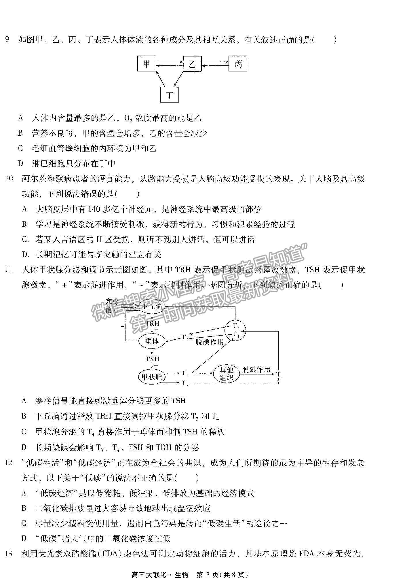 2022廣東高考研究會高考測評研究院高三上學(xué)期階段性學(xué)習(xí)效率檢測調(diào)研卷生物試題及參考答案