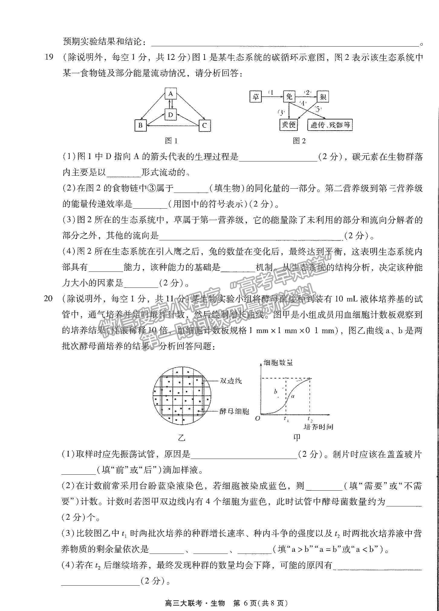 2022廣東高考研究會(huì)高考測(cè)評(píng)研究院高三上學(xué)期階段性學(xué)習(xí)效率檢測(cè)調(diào)研卷生物試題及參考答案