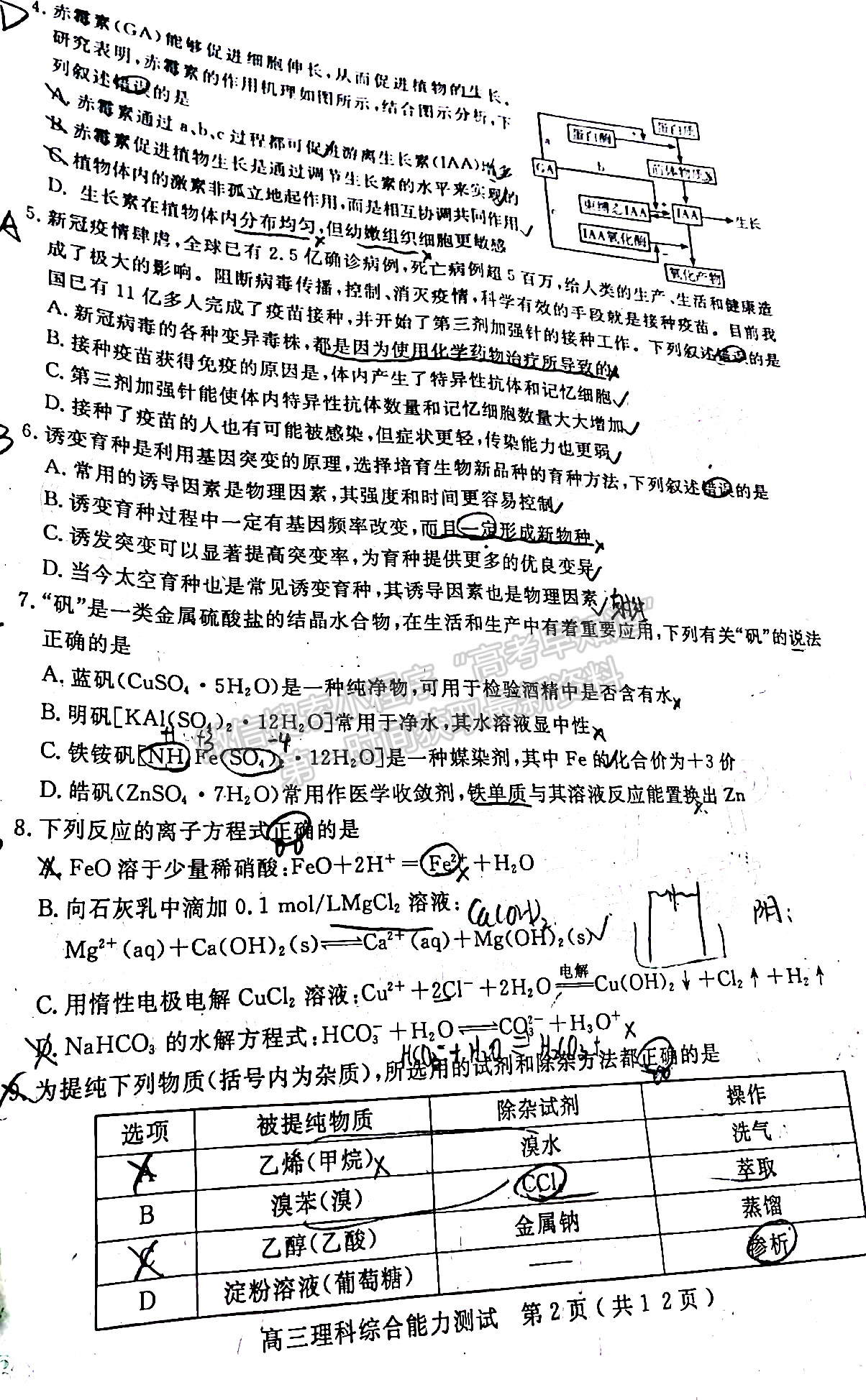 2022四川省樂山市高中2022屆第一次調(diào)查研究考試理科綜合試題