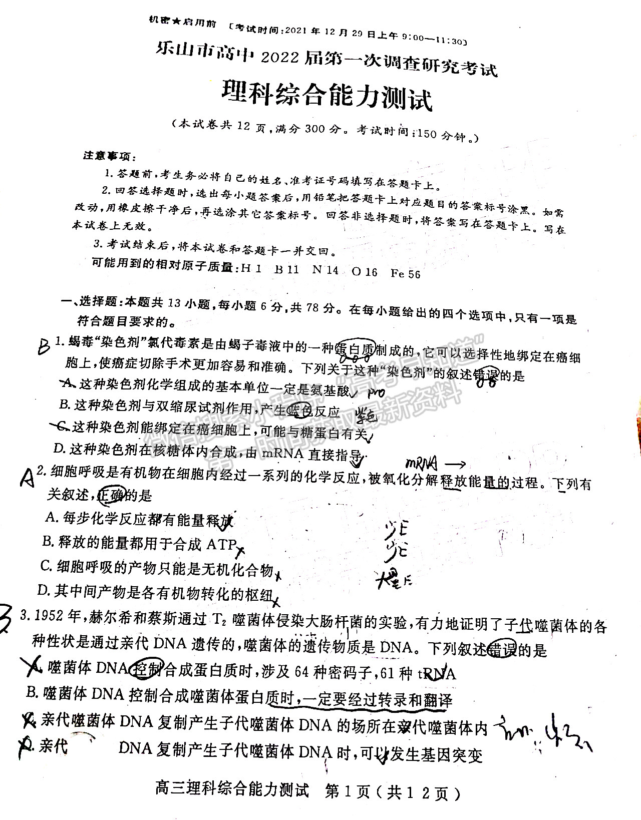 2022四川省樂(lè)山市高中2022屆第一次調(diào)查研究考試?yán)砜凭C合試題