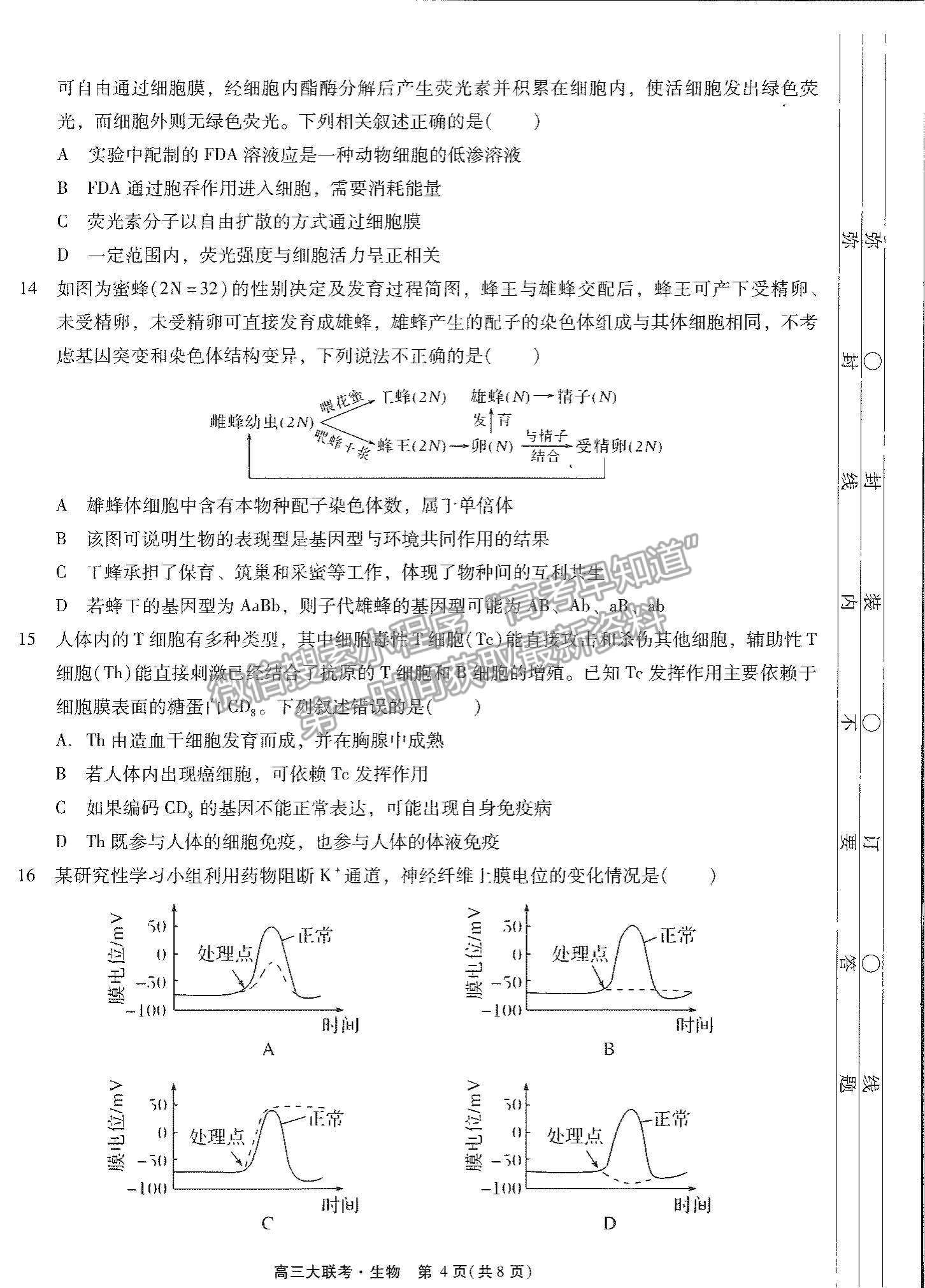 2022廣東高考研究會高考測評研究院高三上學期階段性學習效率檢測調(diào)研卷生物試題及參考答案