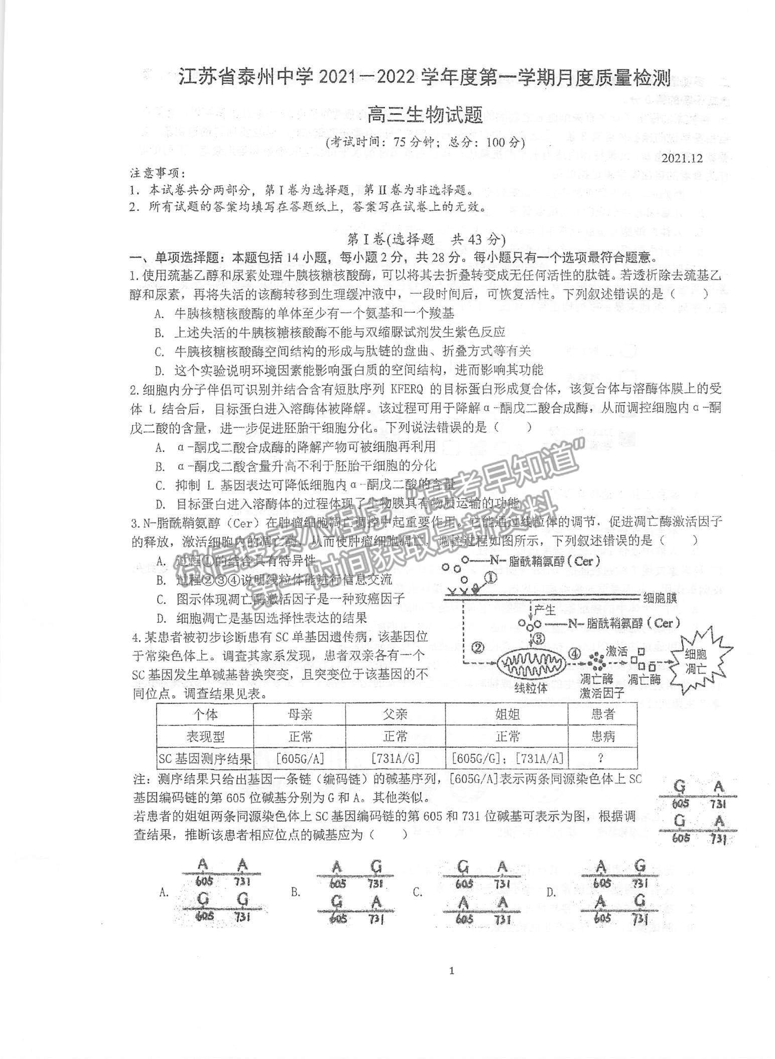 2022江蘇泰州中學(xué)高三12月月度質(zhì)量檢測生物試題及參考答案