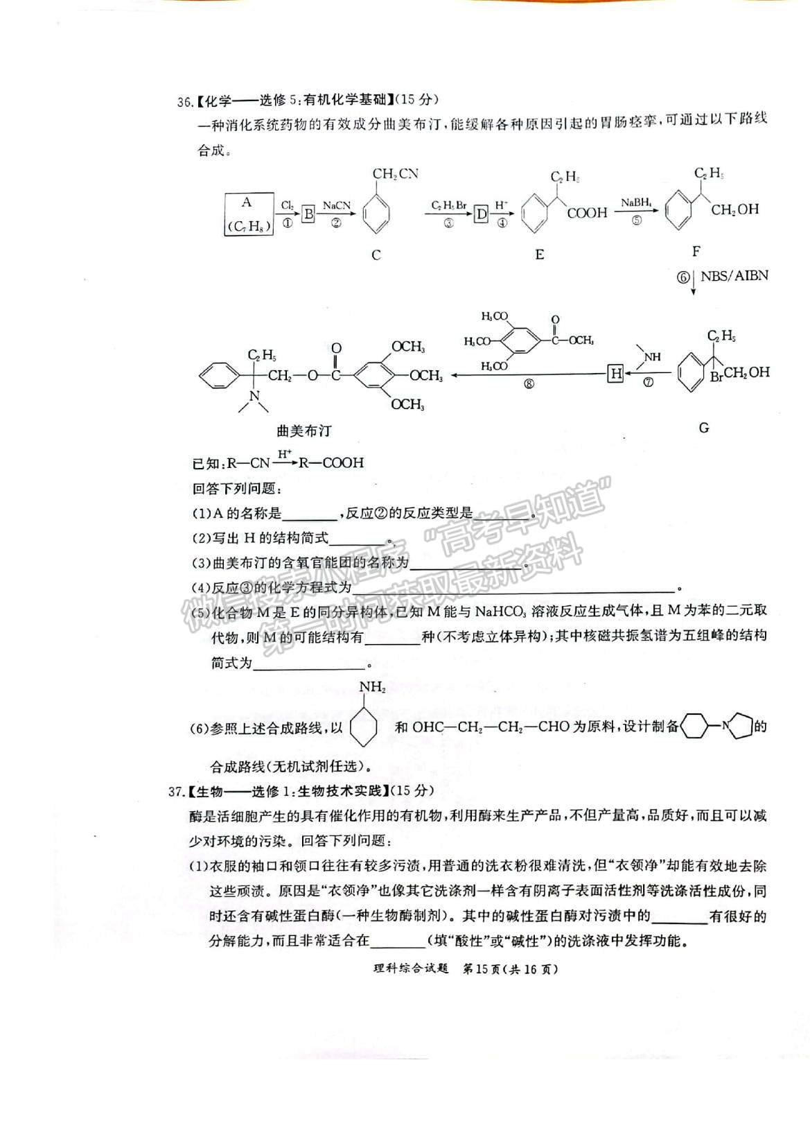 2022廣西省玉林、貴港市高三12月模擬考試理綜試題及參考答案